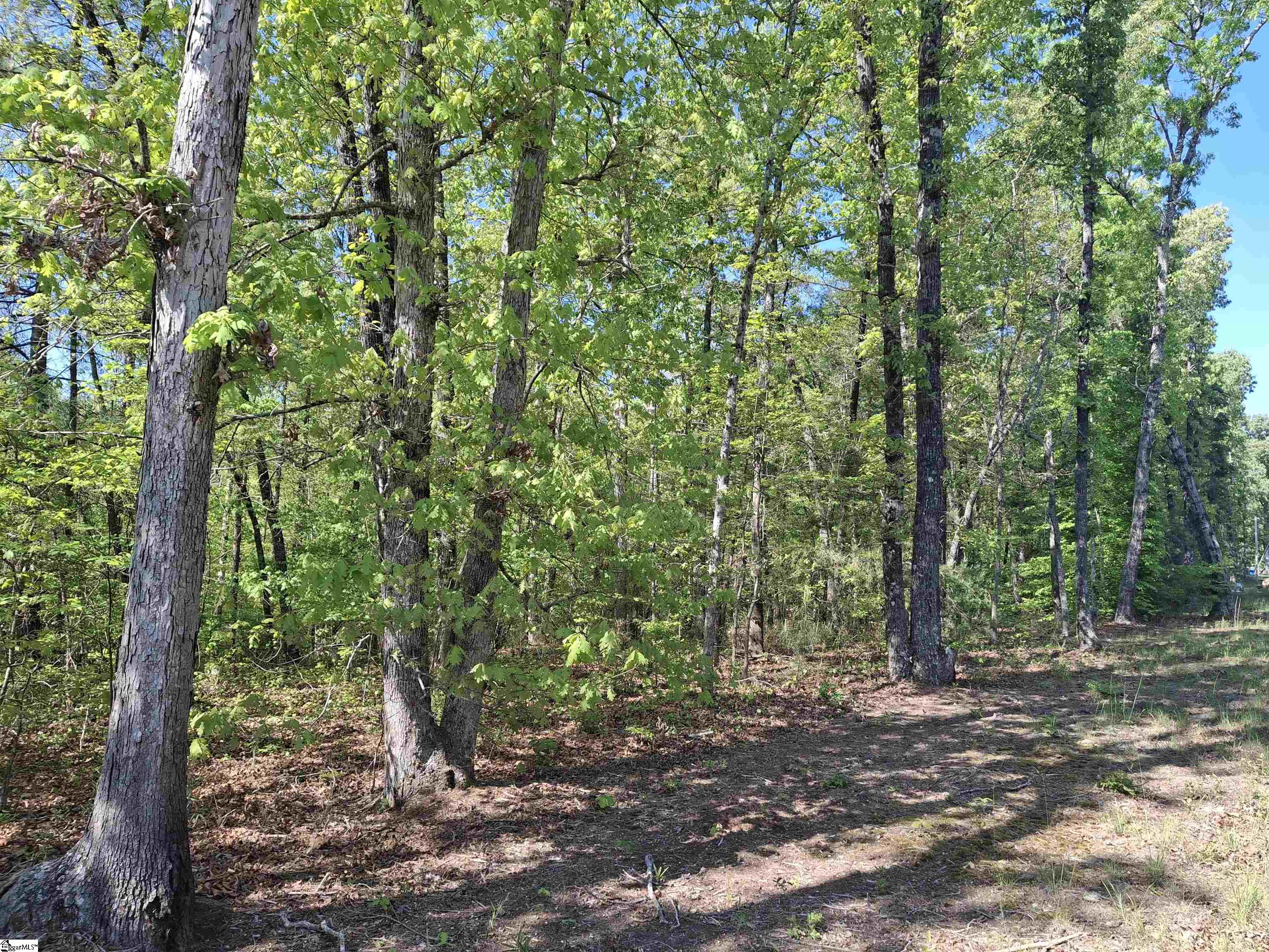 523 Flat Shoals Road, Walhalla SC 29691,Walhalla,Oconee,Land