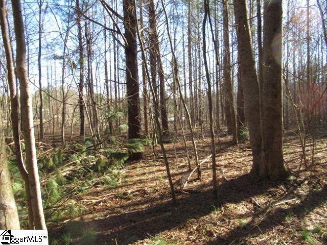 11 Matthews Creek Lane Cleveland, SC 29635