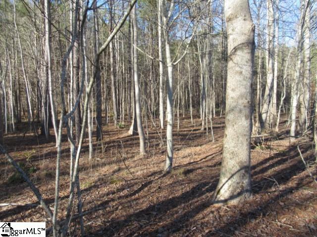 11 Matthews Creek Lane Cleveland, SC 29635
