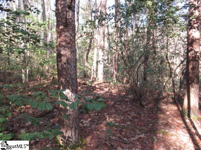 11 Matthews Creek Lane Cleveland, SC 29635