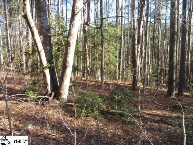 11 Matthews Creek Lane Cleveland, SC 29635