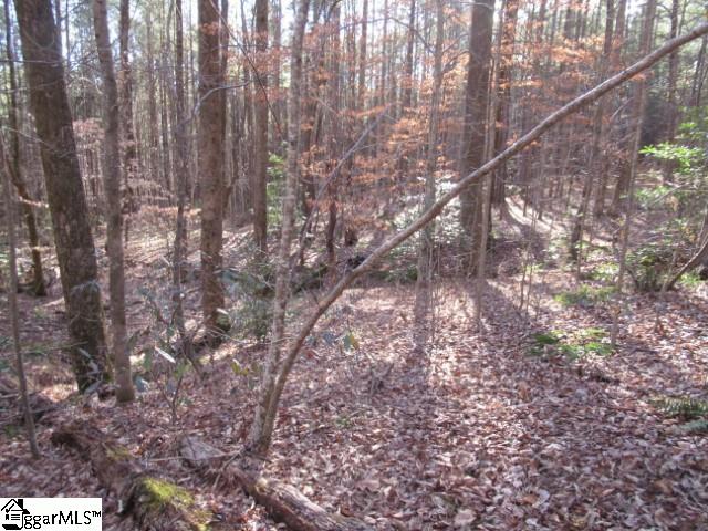 11 Matthews Creek Lane Cleveland, SC 29635
