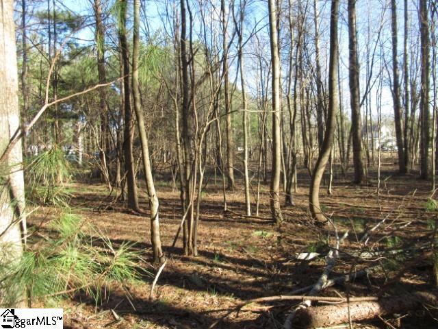 11 Matthews Creek Lane Cleveland, SC 29635