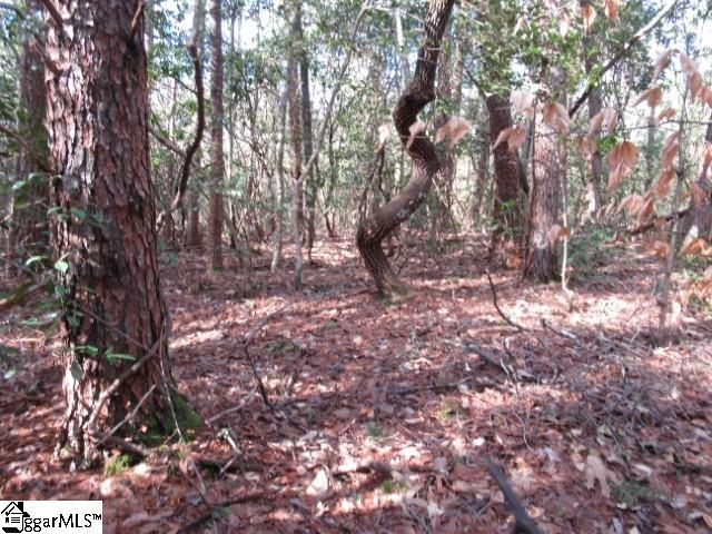 15 Matthews Creek Lane Cleveland, SC 29635