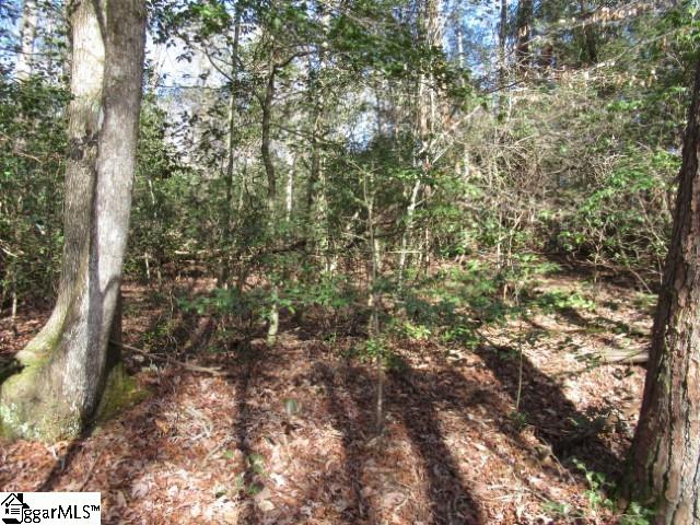 15 Matthews Creek Lane Cleveland, SC 29635