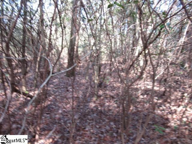 15 Matthews Creek Lane Cleveland, SC 29635