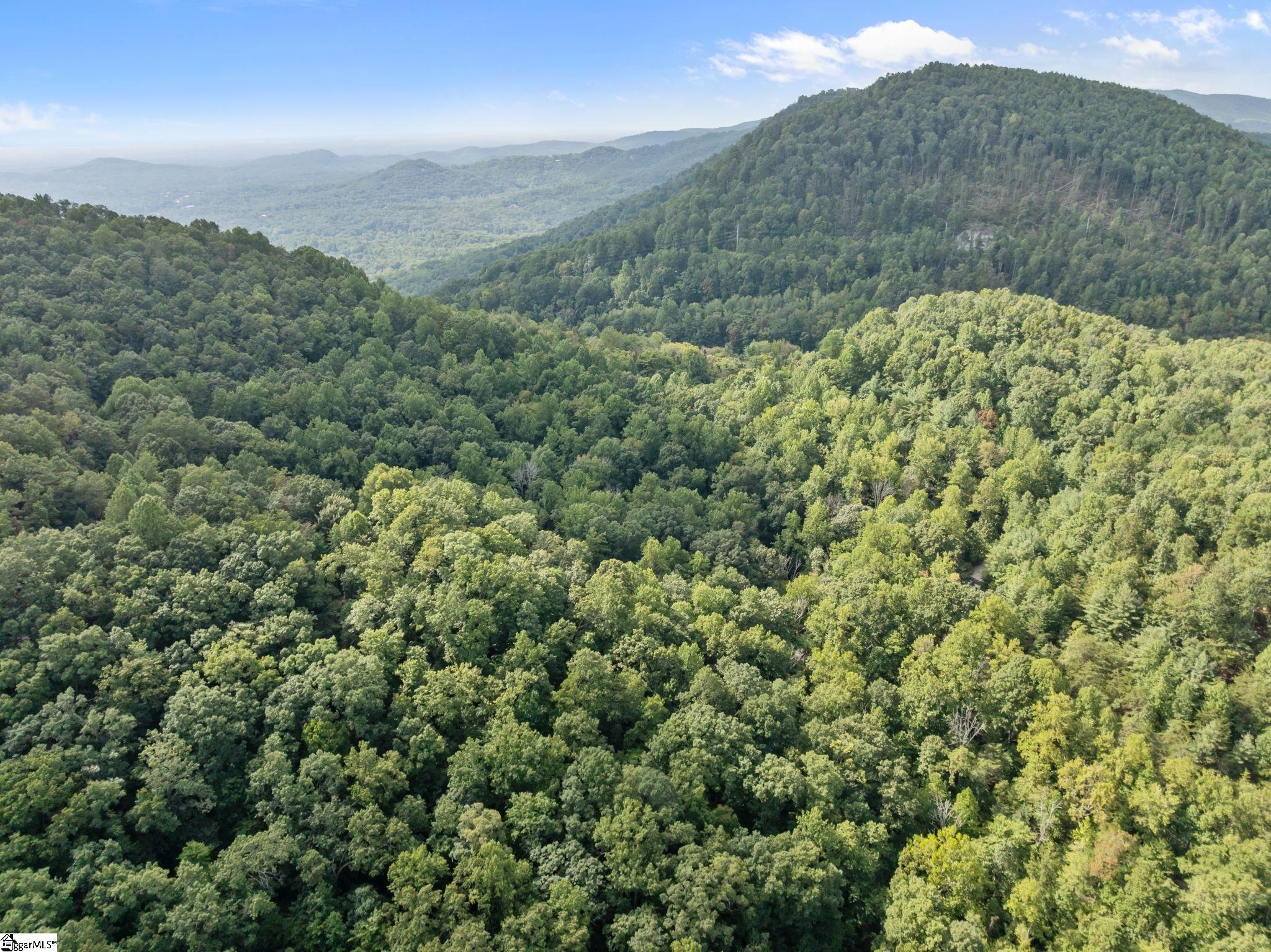 1 Rixhaven Drive Saluda, NC 28773