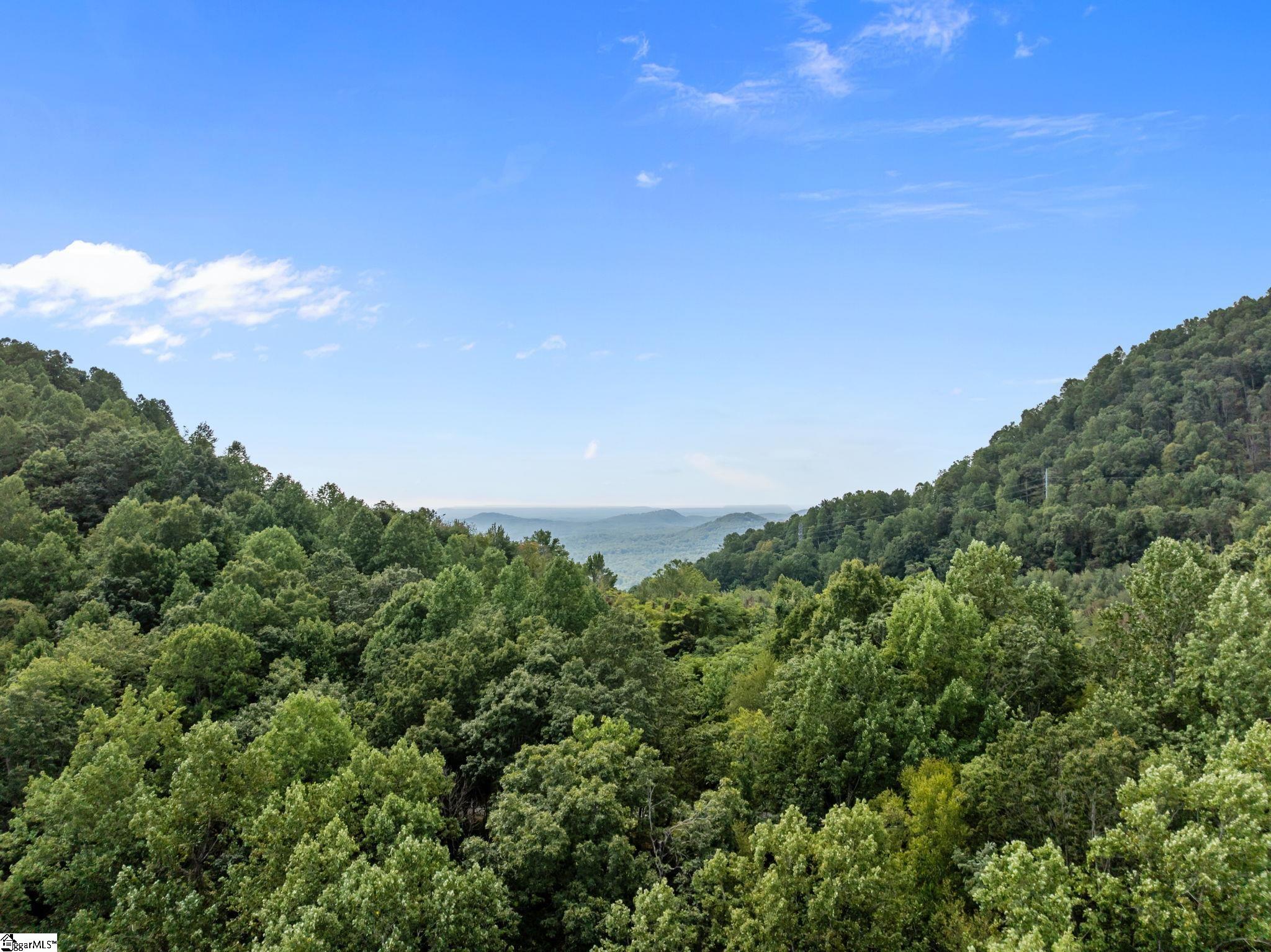 1 Rixhaven Drive Saluda, NC 28773