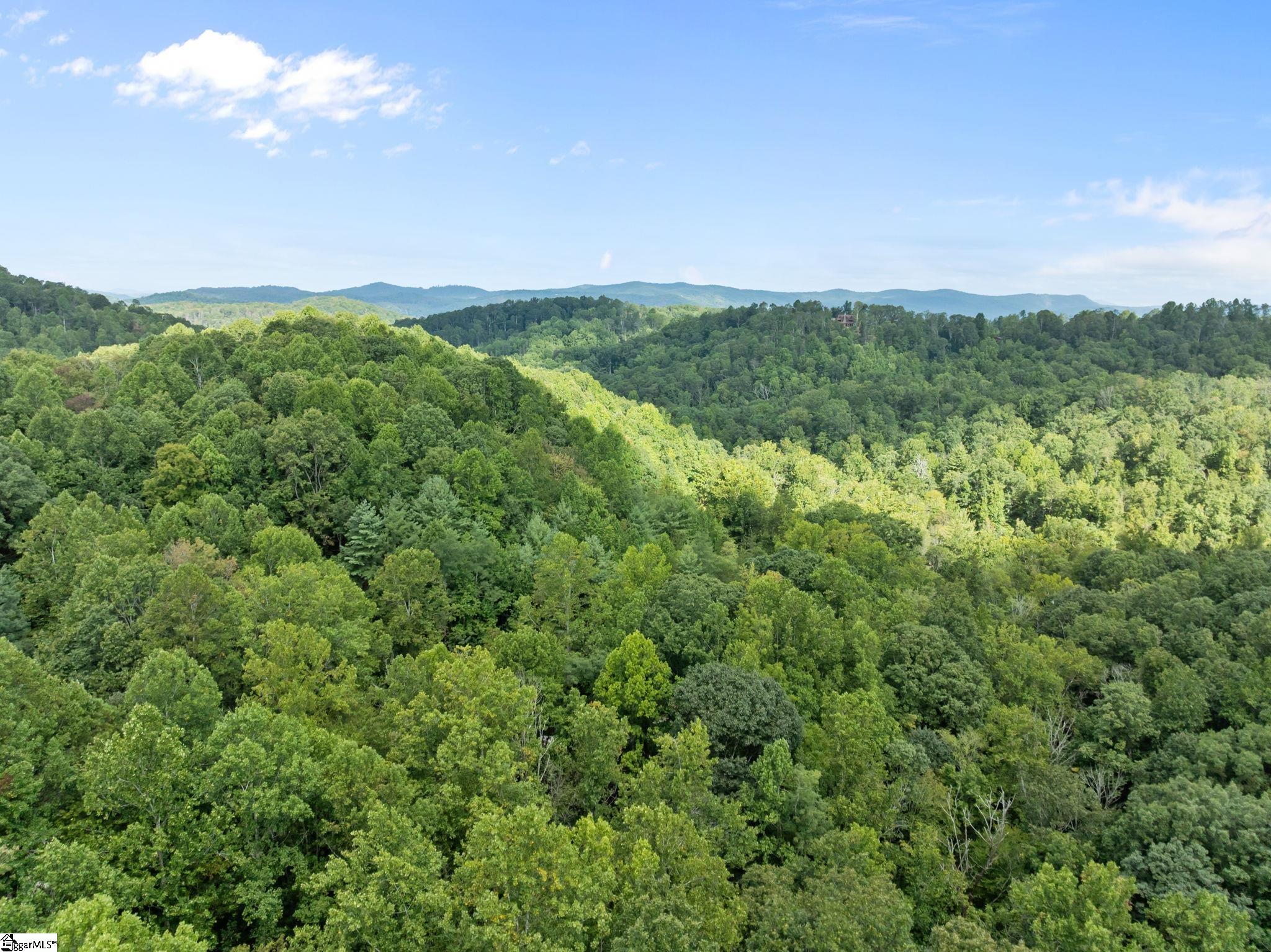 1 Rixhaven Drive Saluda, NC 28773