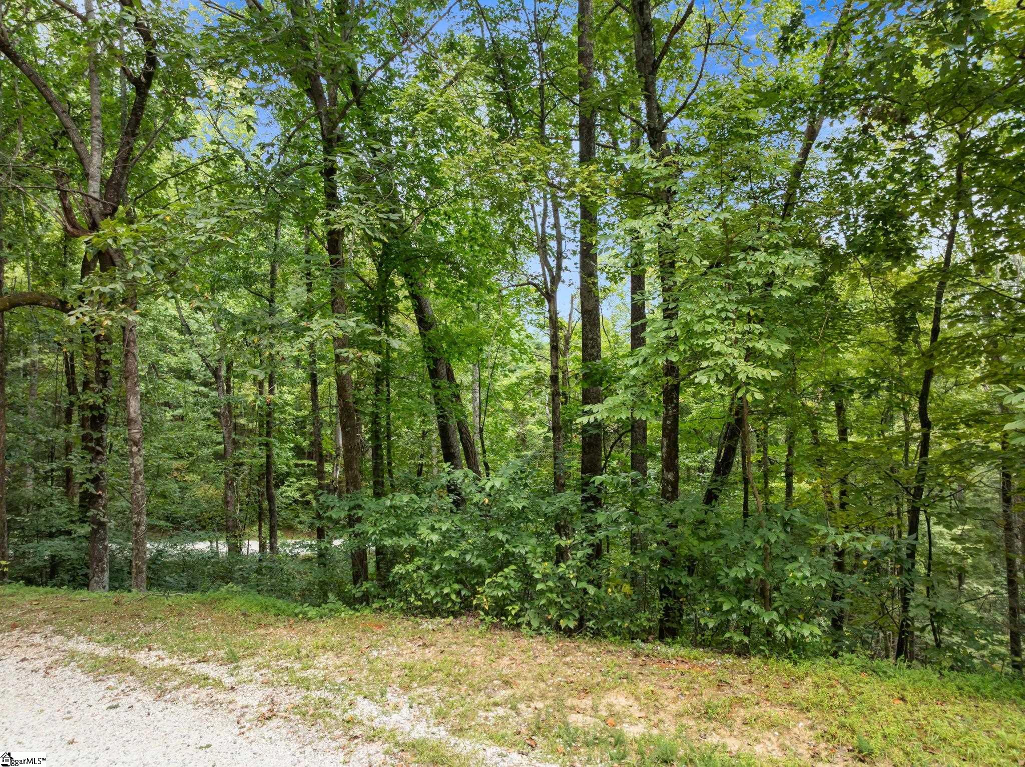 1 Rixhaven Drive Saluda, NC 28773