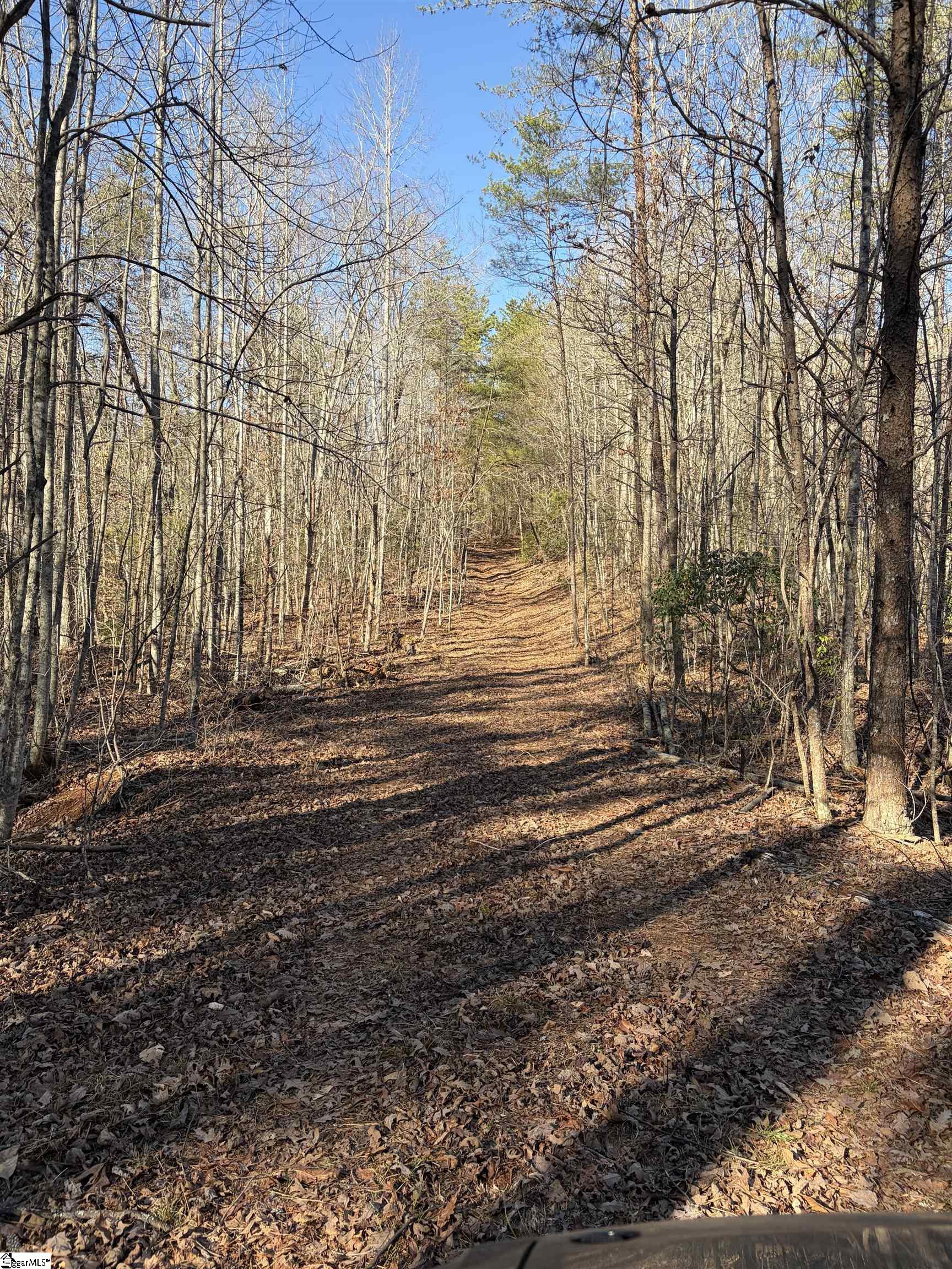 539 Hart Cut Road Marietta, SC 29661
