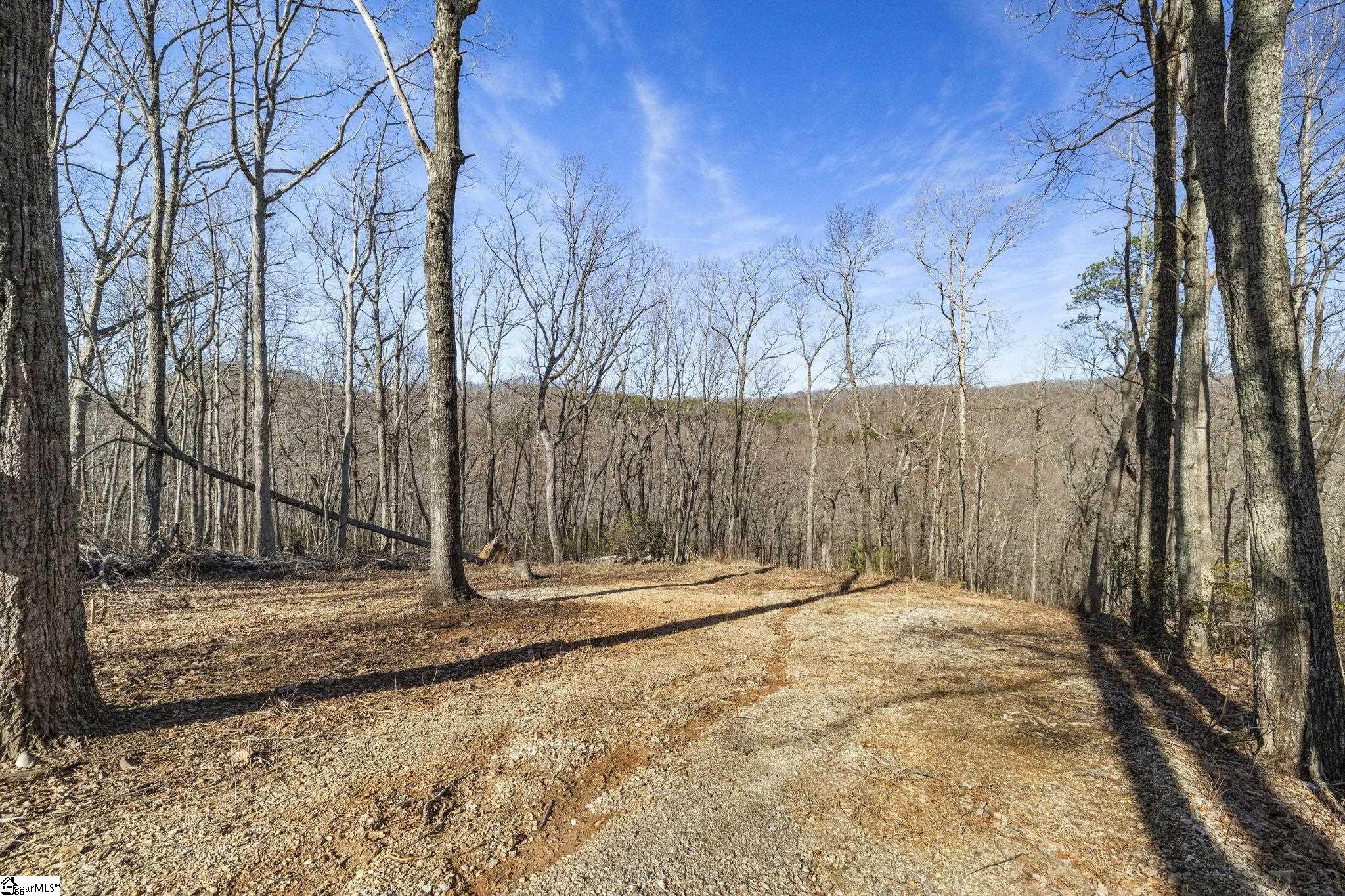 314 Mountain Lake Lane Travelers Rest, SC 29690