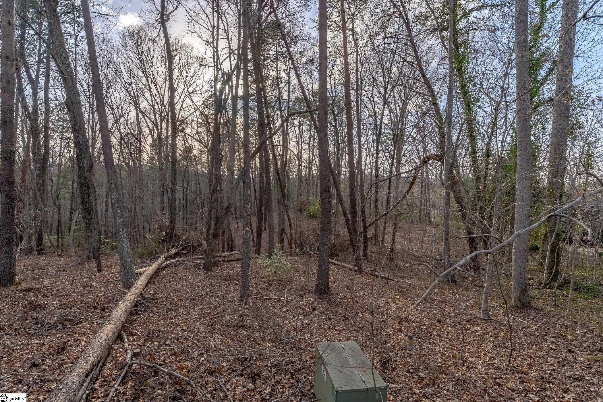 18 Rhone Valley Lane, Travelers Rest, SC, 29690