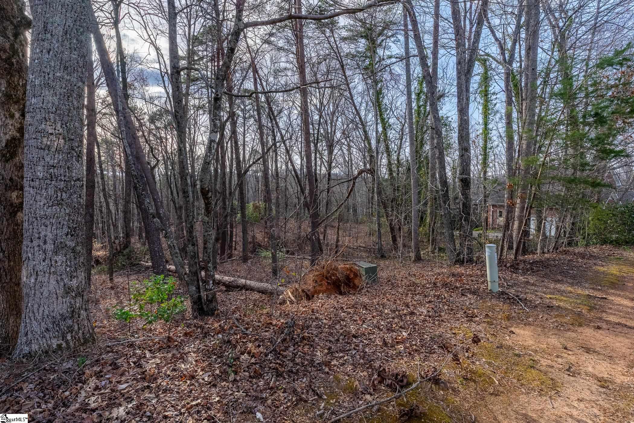 18 Rhone Valley Lane, Travelers Rest, SC, 29690