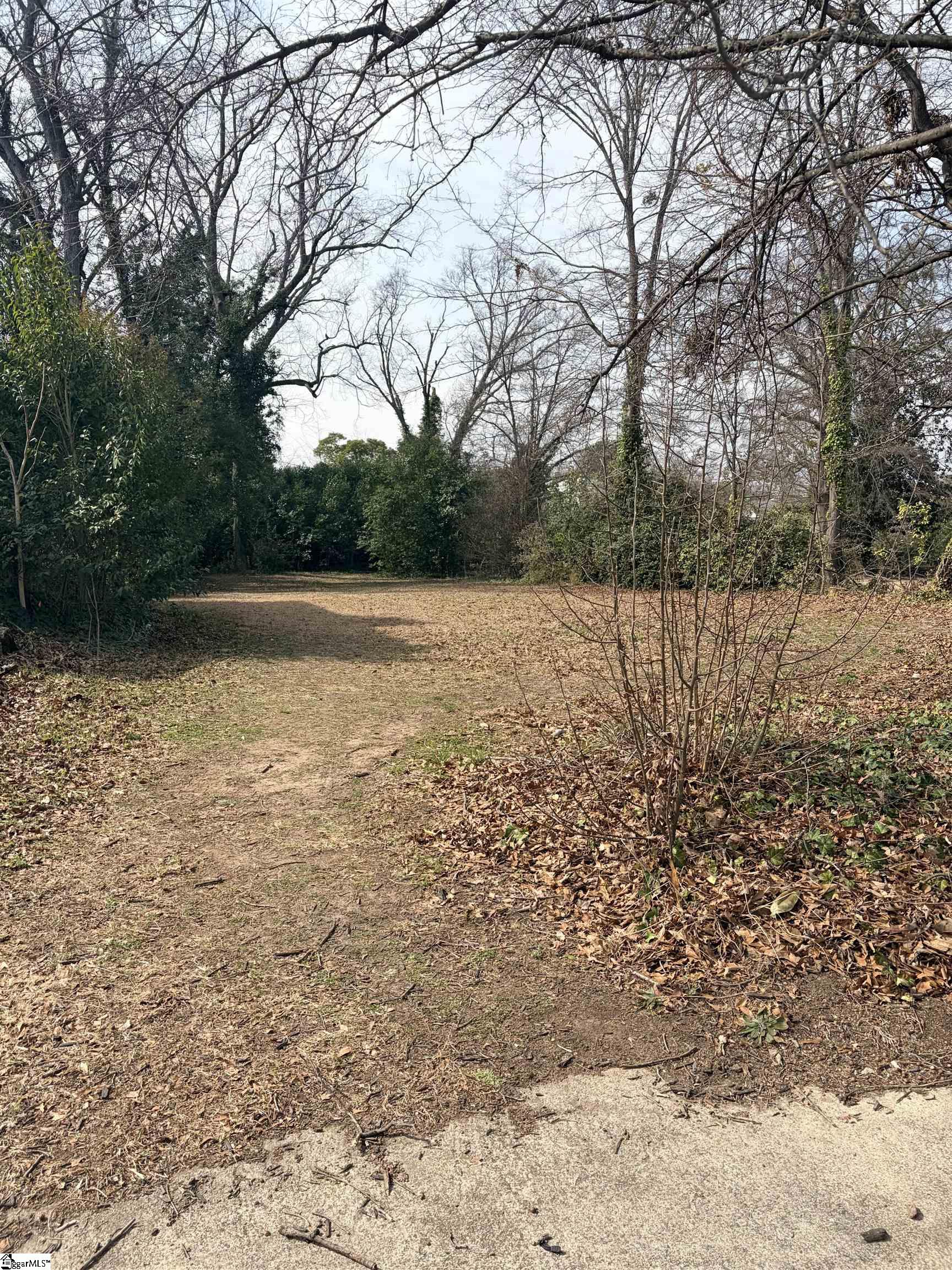 142 Oakland Avenue Spartanburg, SC 29302