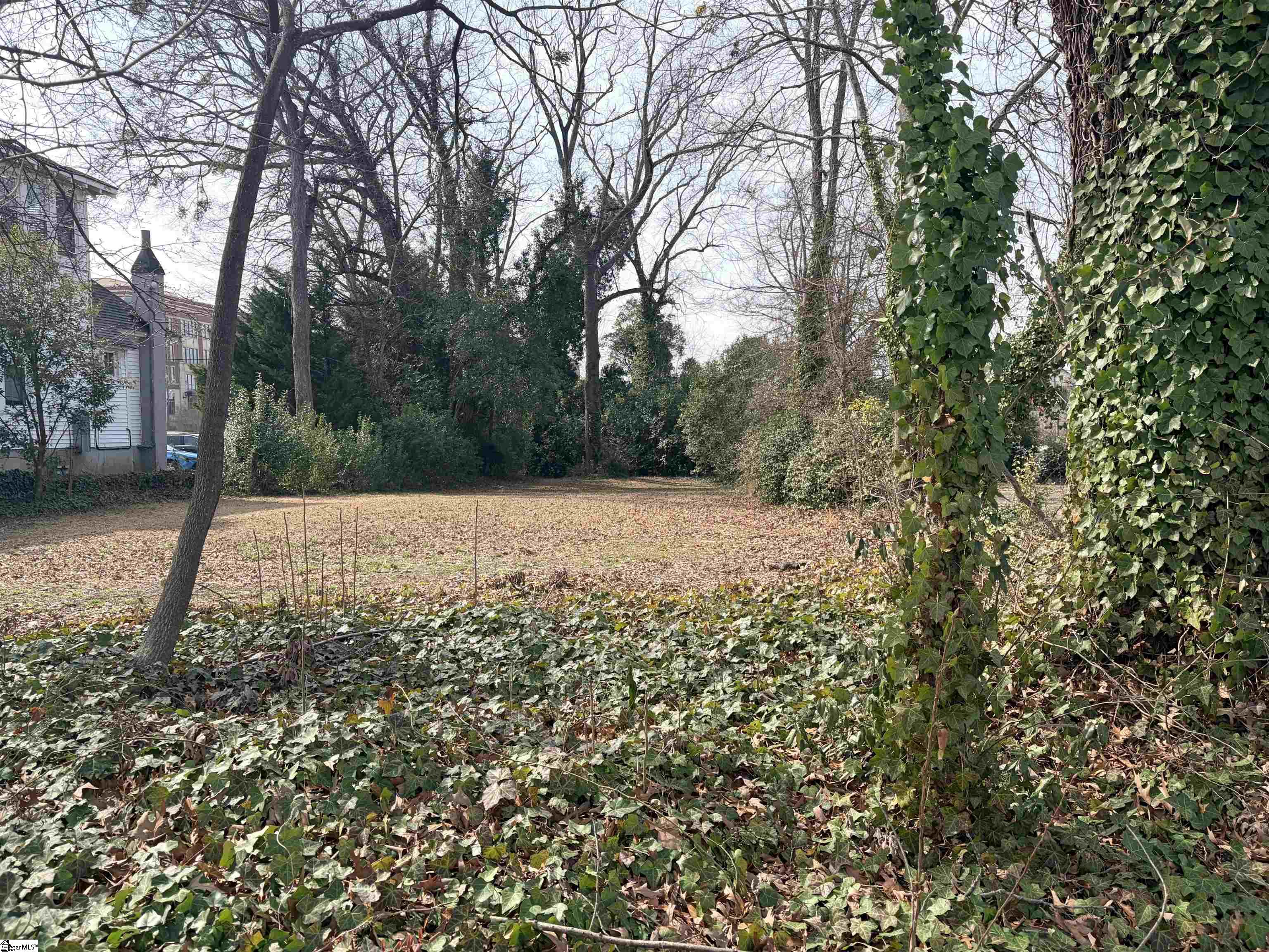 142 Oakland Avenue Spartanburg, SC 29302
