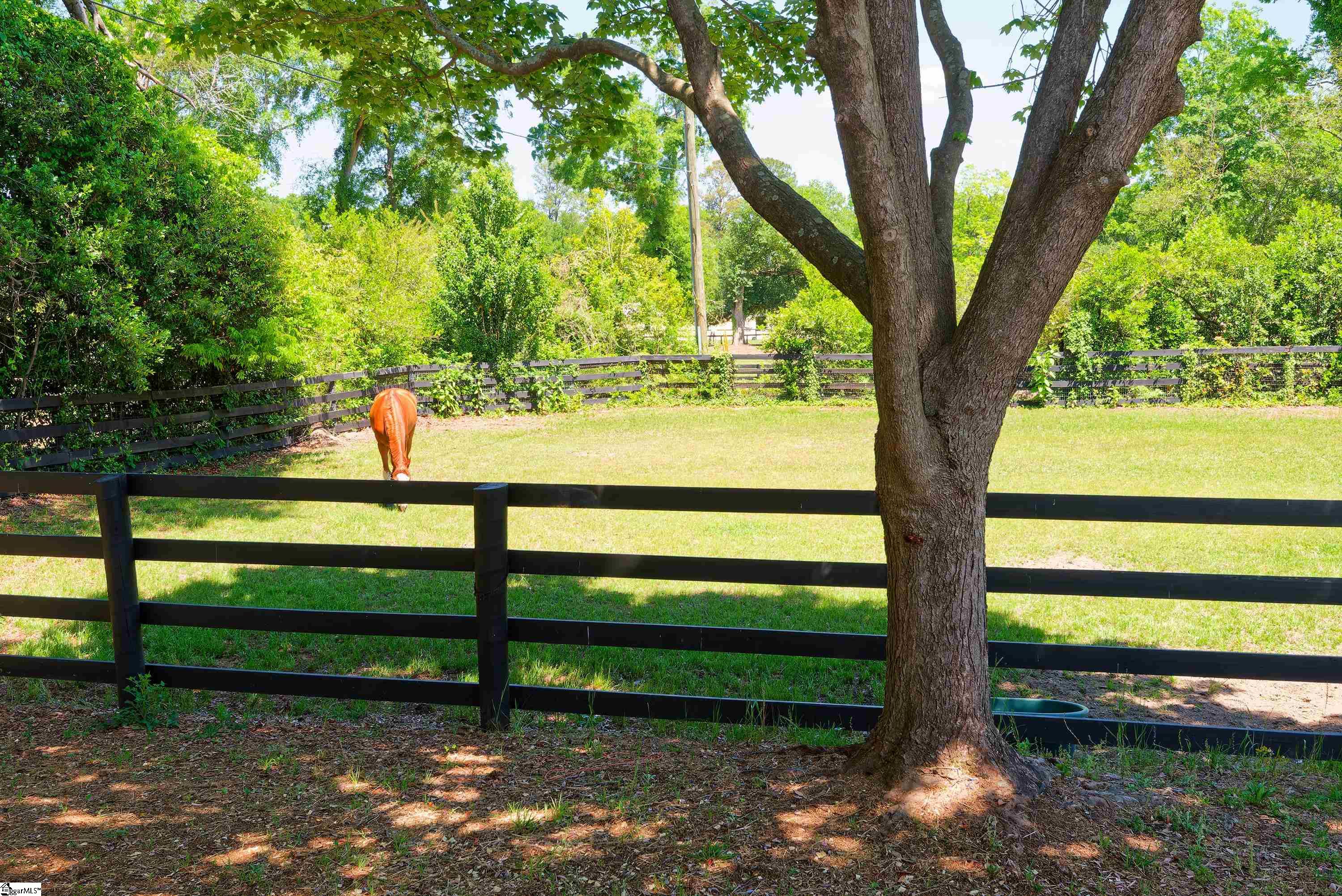 1242 SE Audubon Drive Aiken, SC 29803