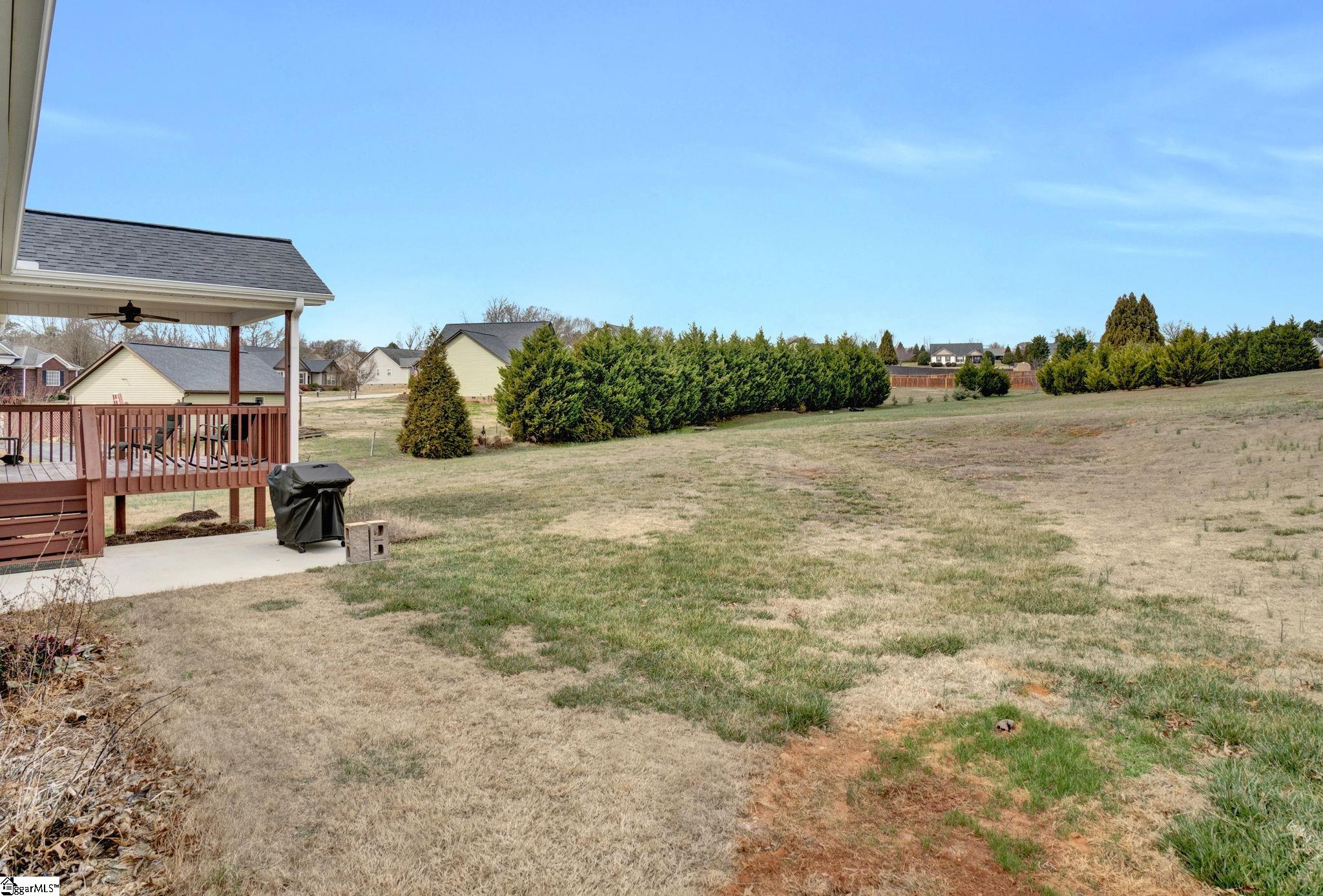 141 Deyoung Meadows Drive Greer, SC 29651