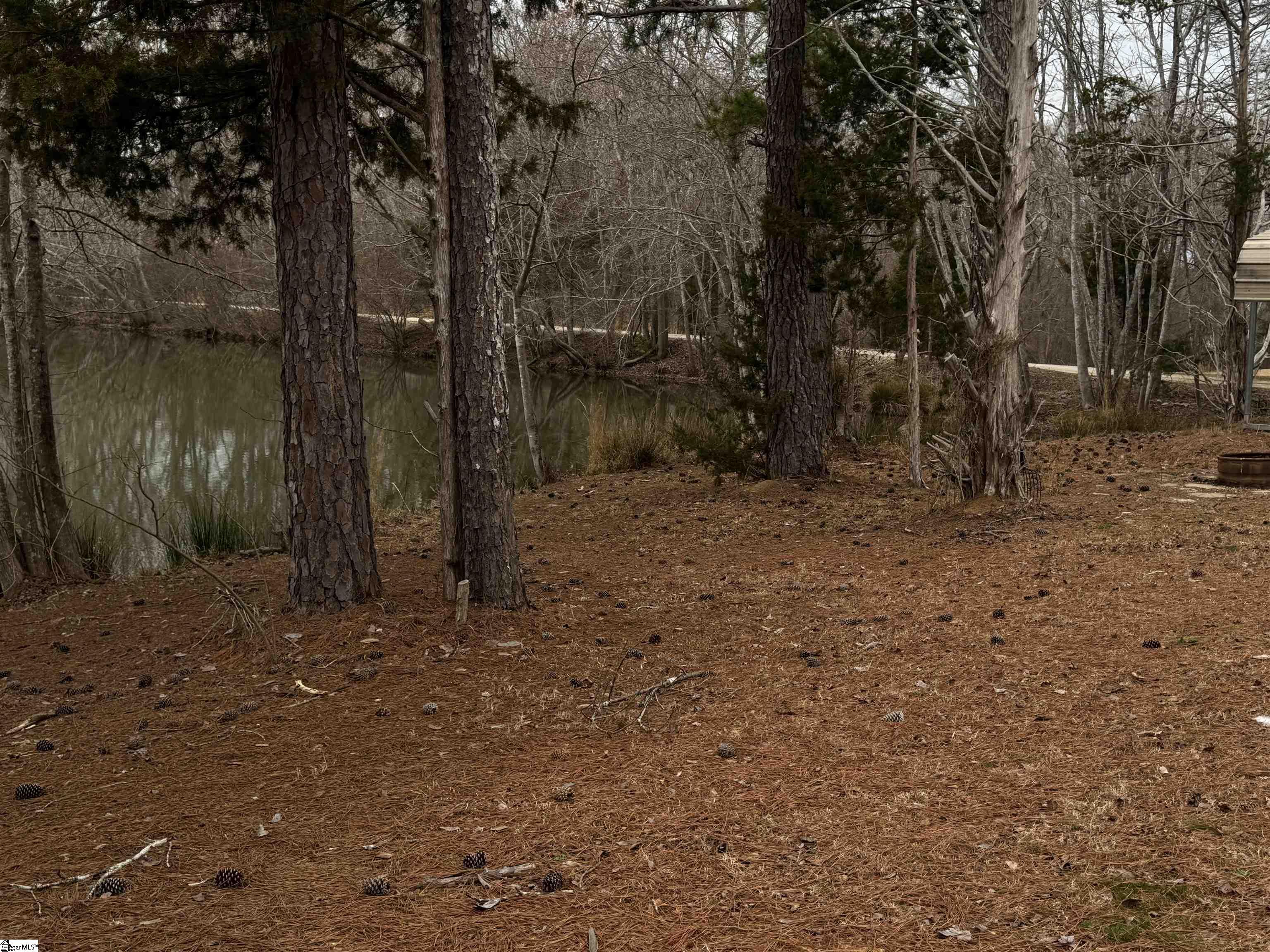 134 Carlton Street Greenwood, SC 29649