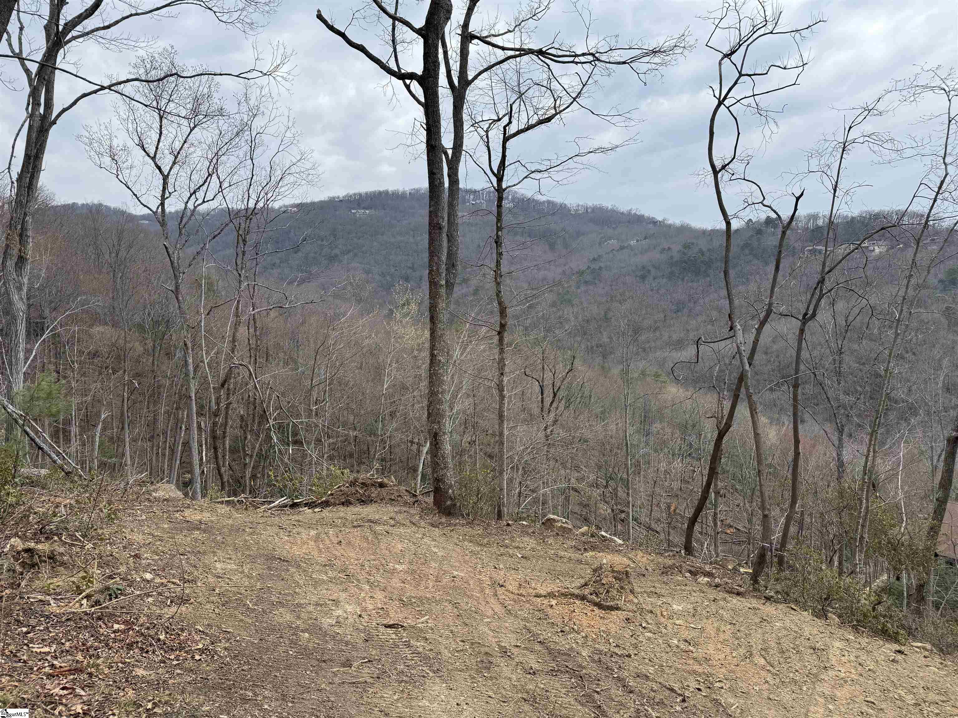 1328 Panther Park Trail Travelers Rest, SC 29690