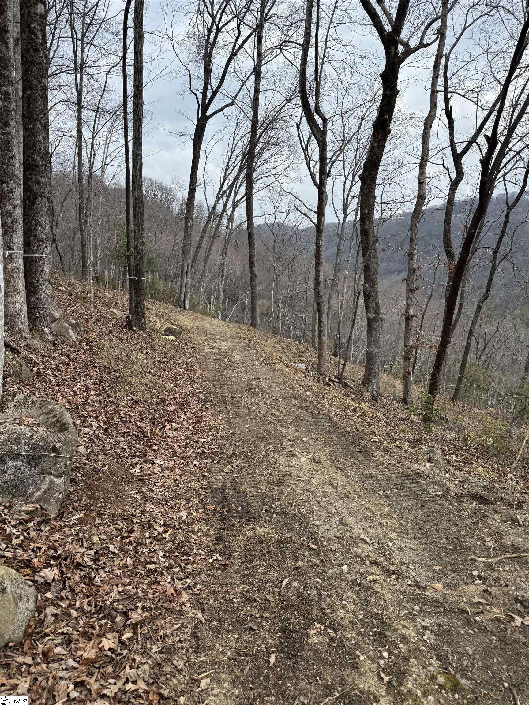 1328 Panther Park Trail Travelers Rest, SC 29690