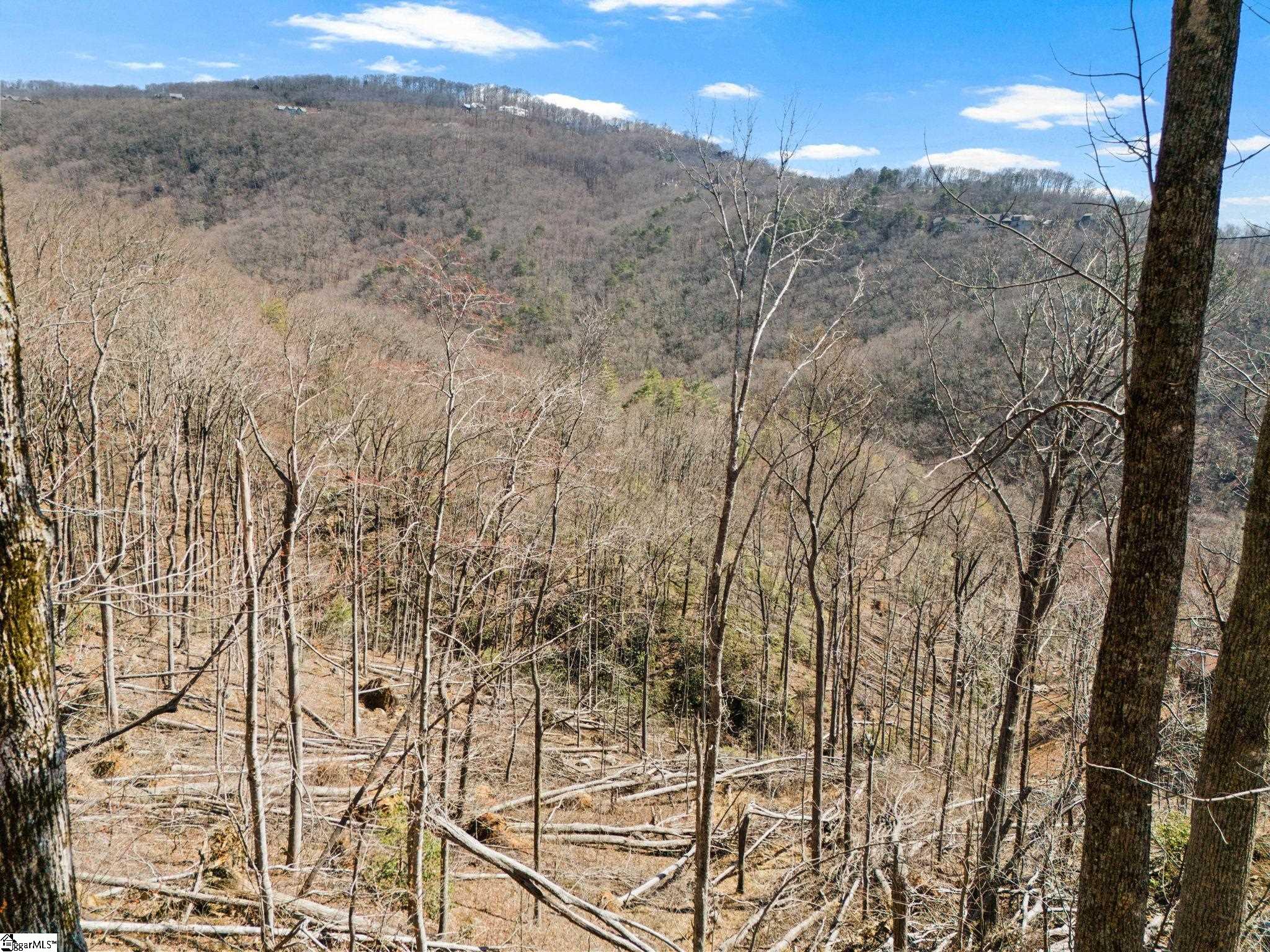 1328 Panther Park Trail Travelers Rest, SC 29690