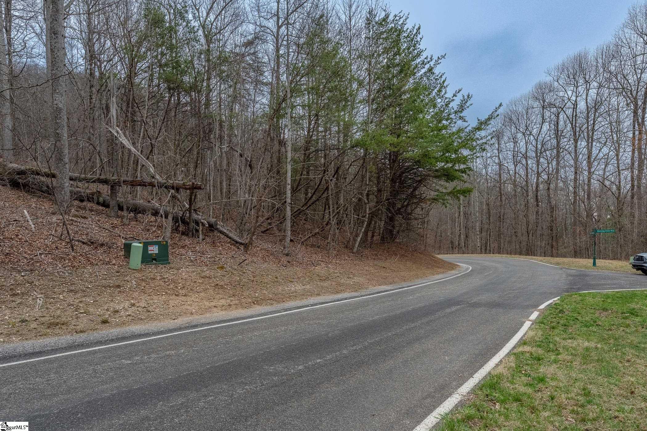 00 Indian Pipe Trail, Landrum, SC, 29356-3329