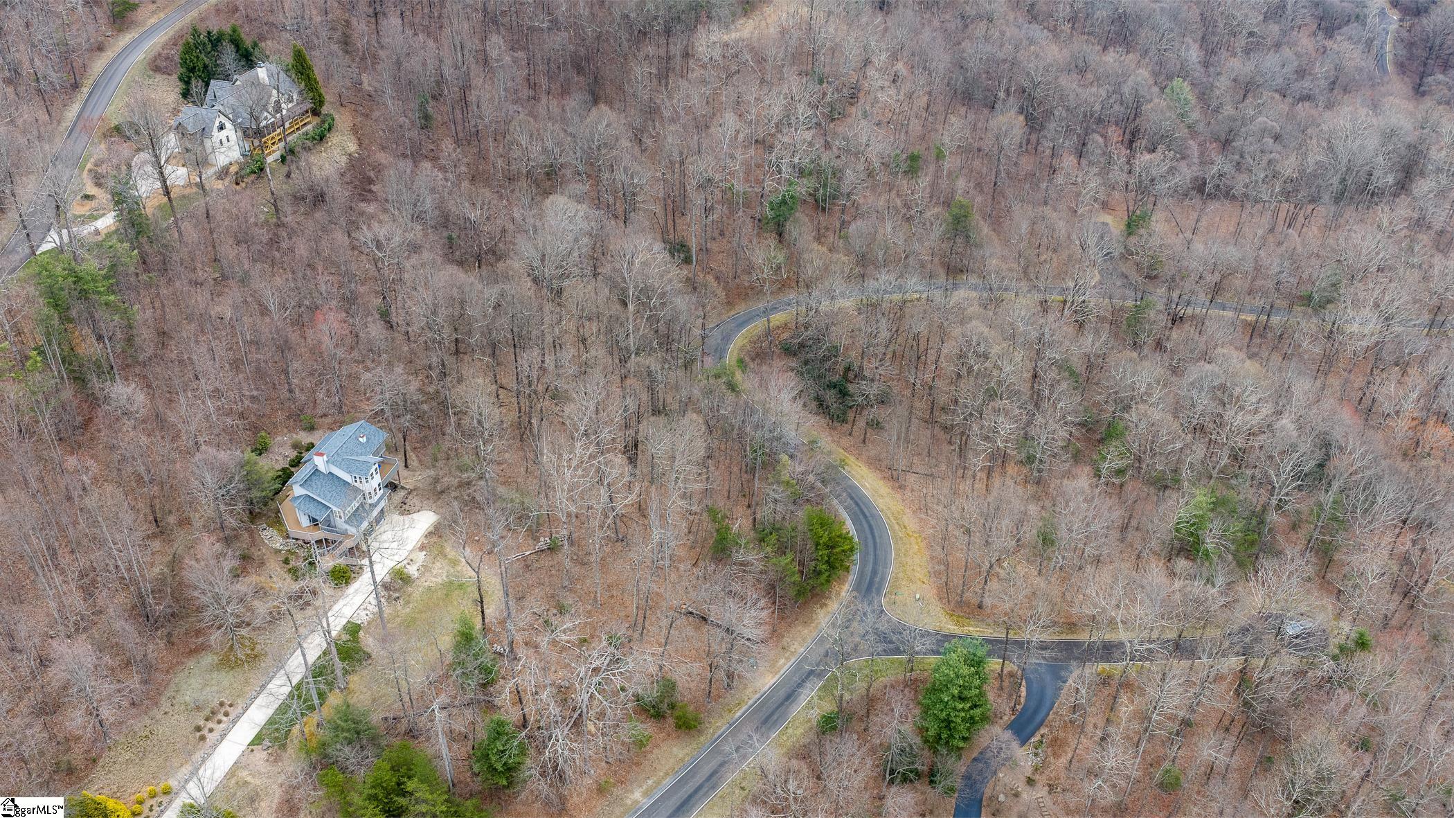 00 Indian Pipe Trail, Landrum, SC, 29356-3329