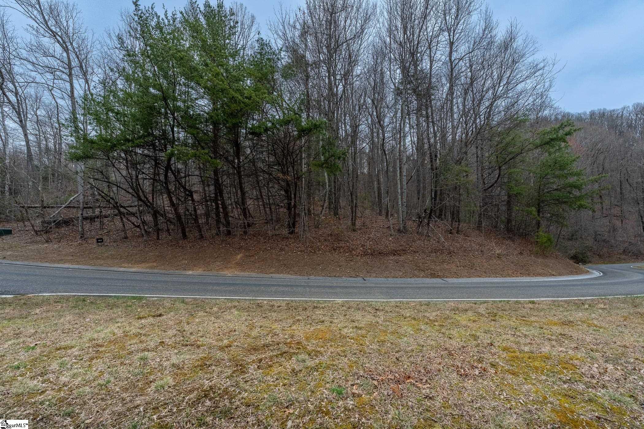 00 Indian Pipe Trail, Landrum, SC, 29356-3329