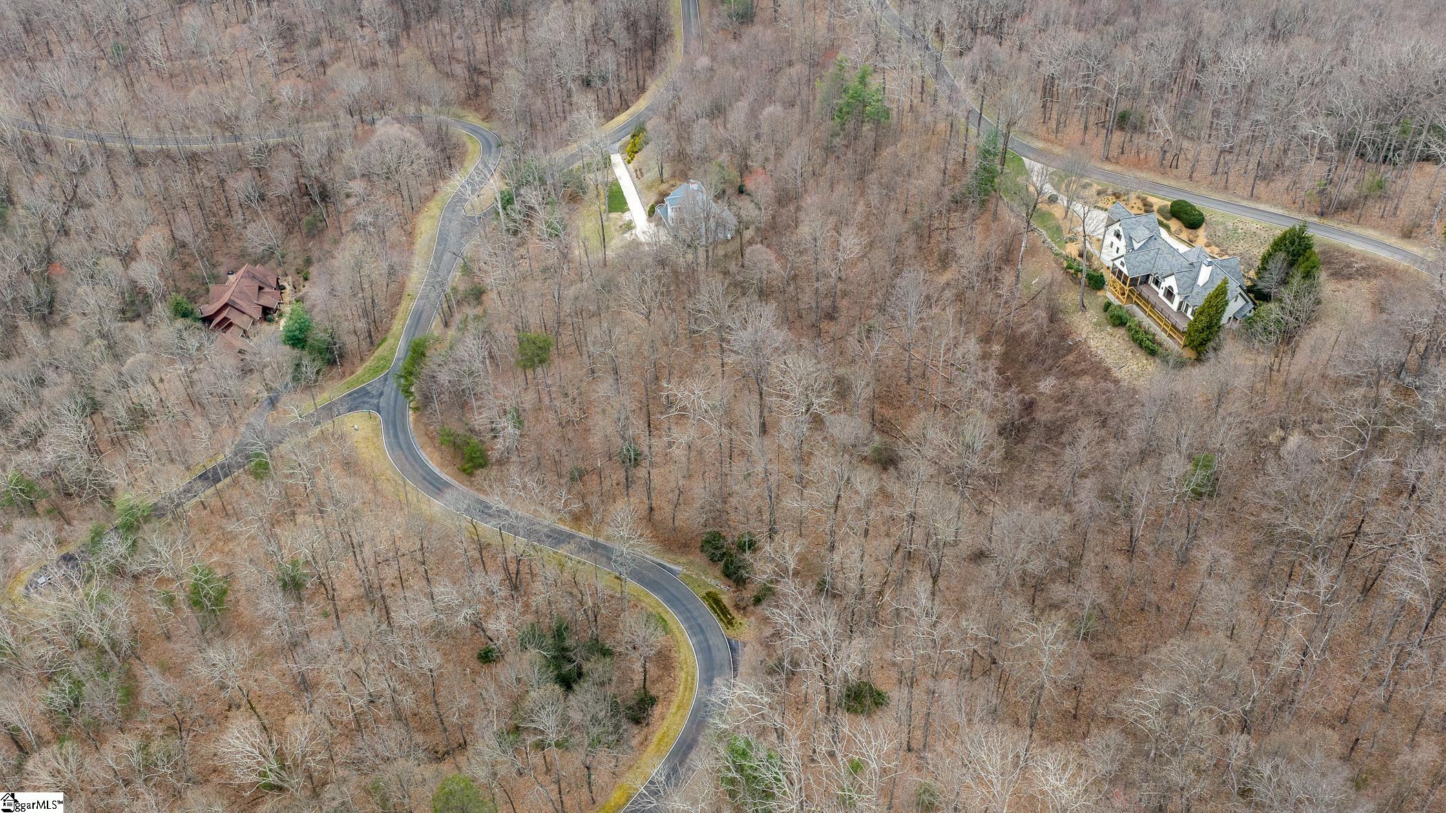 00 Indian Pipe Trail, Landrum, SC, 29356-3329