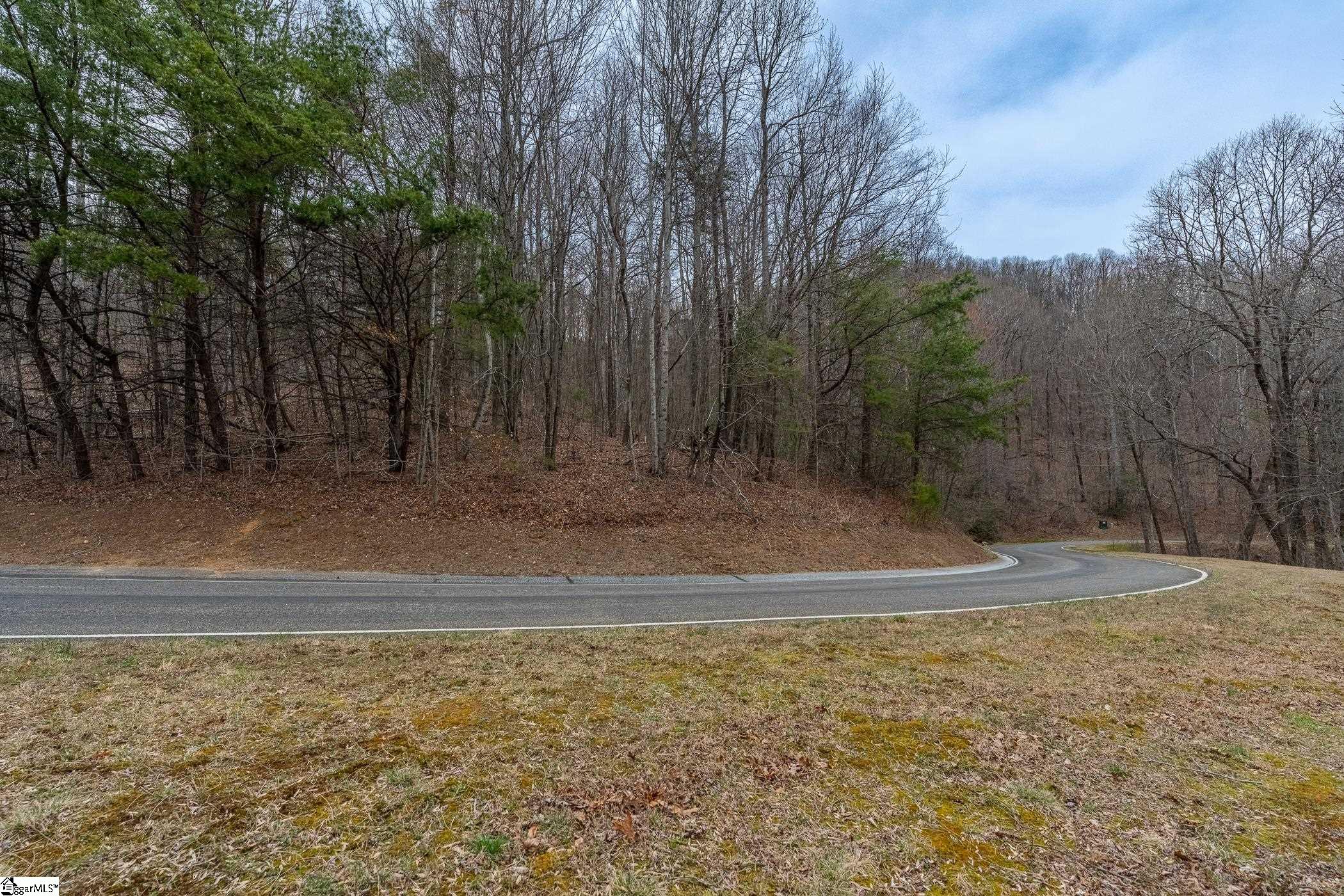 00 Indian Pipe Trail, Landrum, SC, 29356-3329