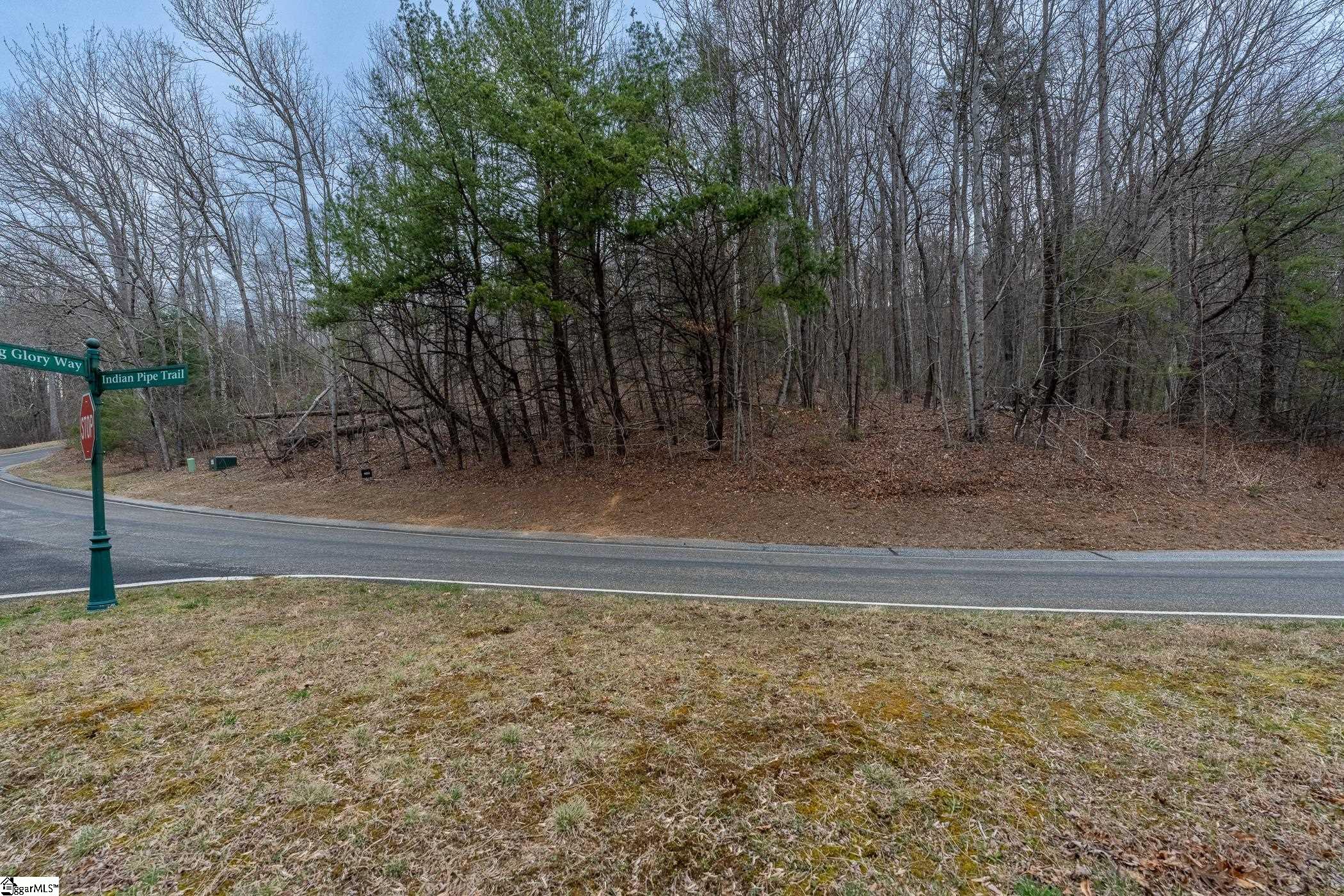 00 Indian Pipe Trail, Landrum, SC, 29356-3329