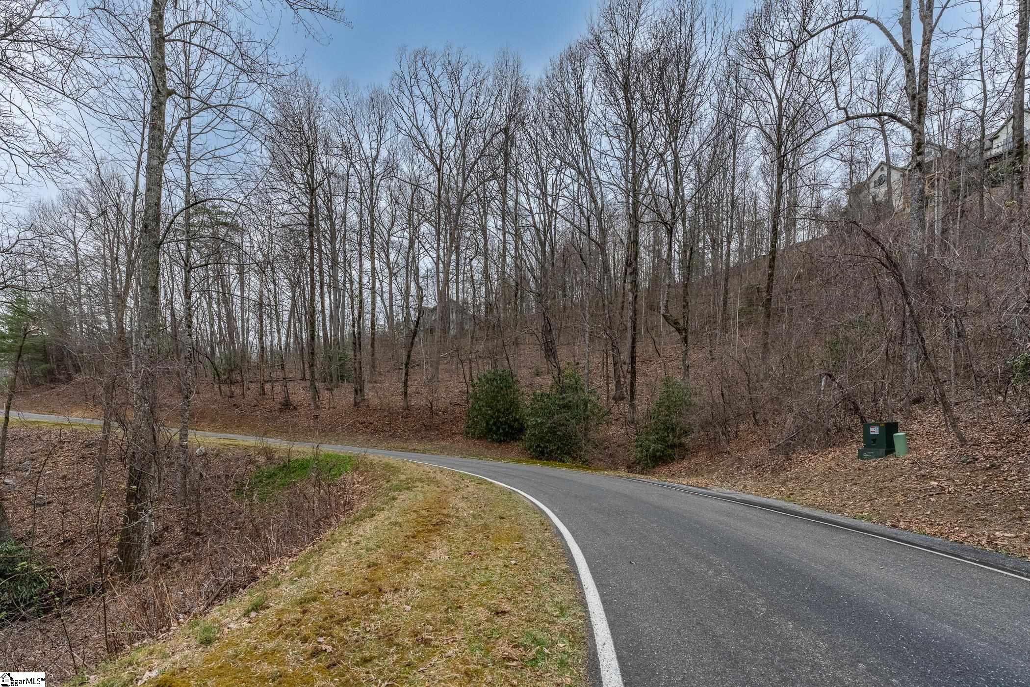 00 Indian Pipe Trail, Landrum, SC, 29356-3329