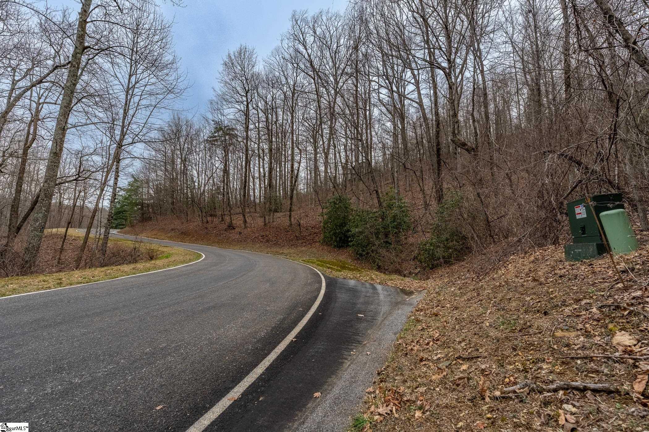 00 Indian Pipe Trail, Landrum, SC, 29356-3329