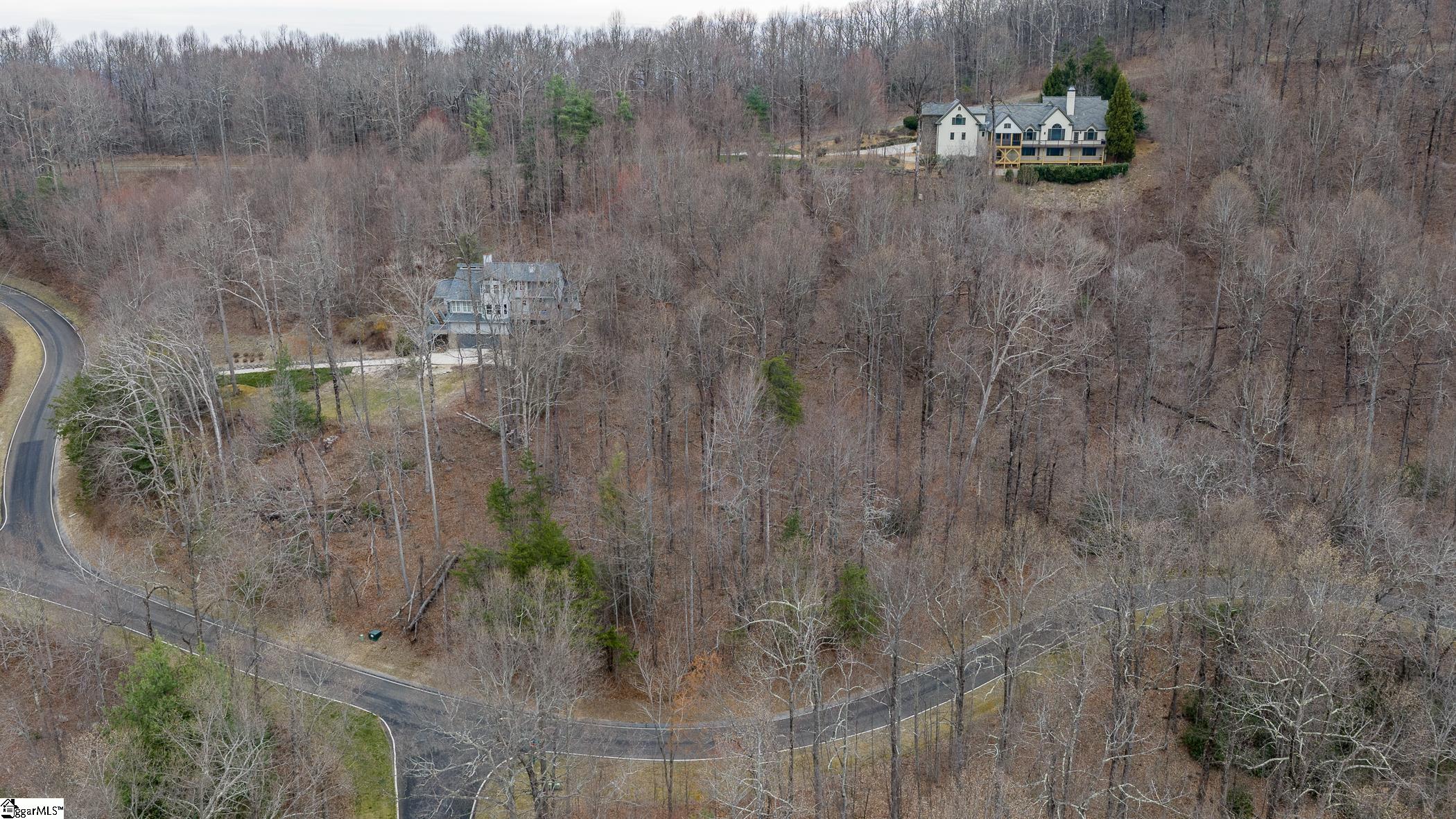 00 Indian Pipe Trail, Landrum, SC, 29356-3329