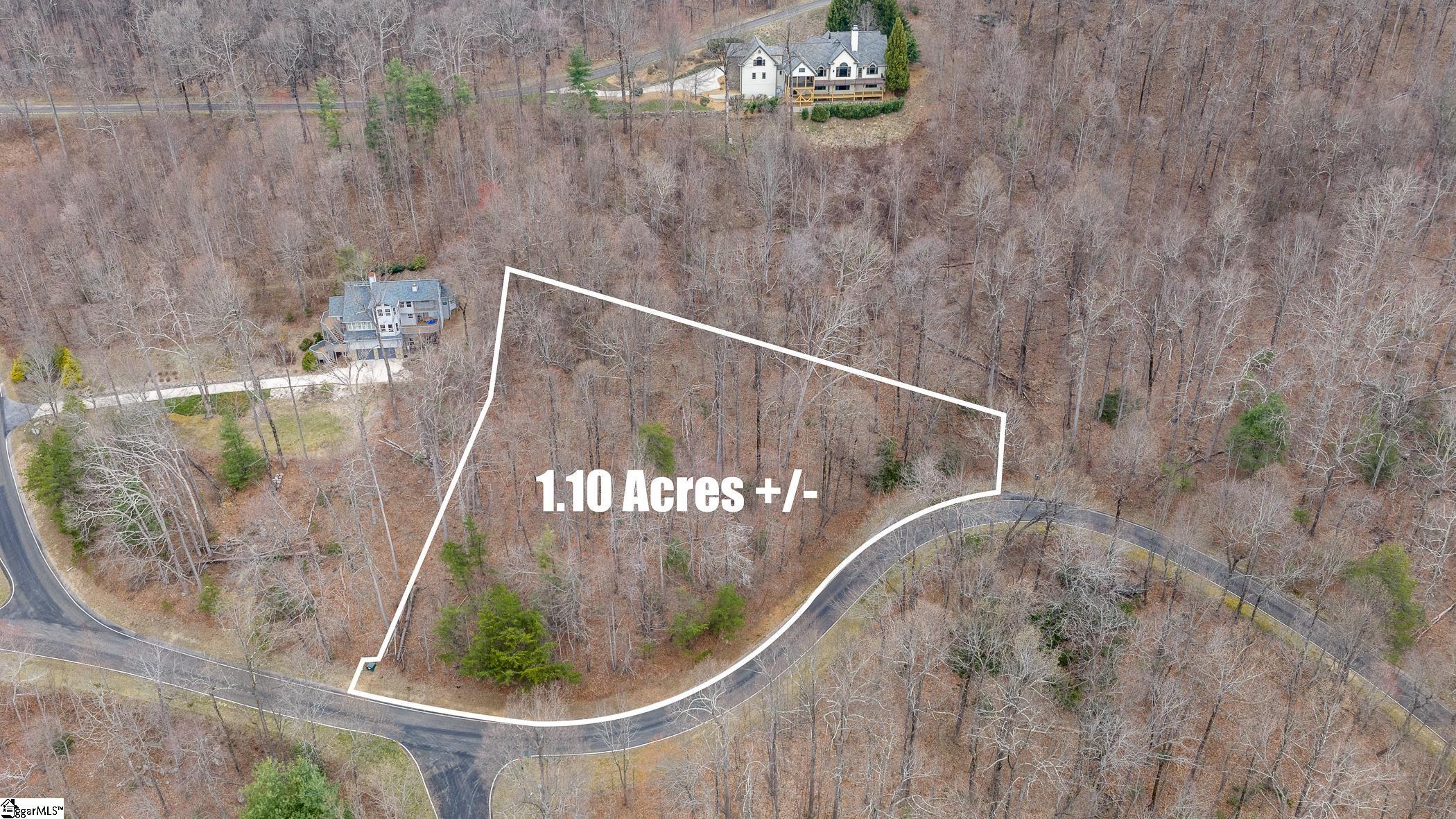 00 Indian Pipe Trail, Landrum, SC, 29356-3329