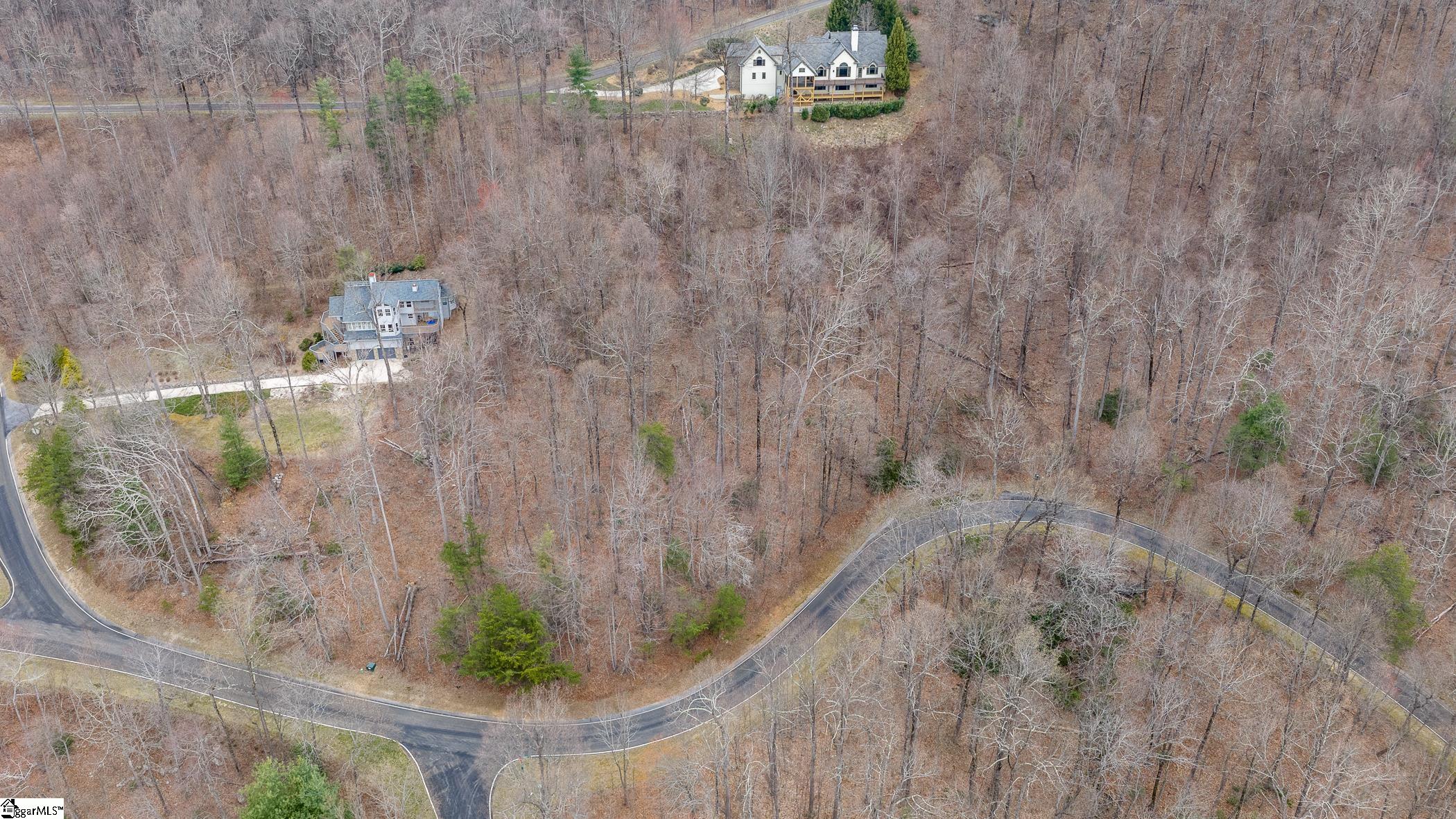 00 Indian Pipe Trail, Landrum, SC, 29356-3329