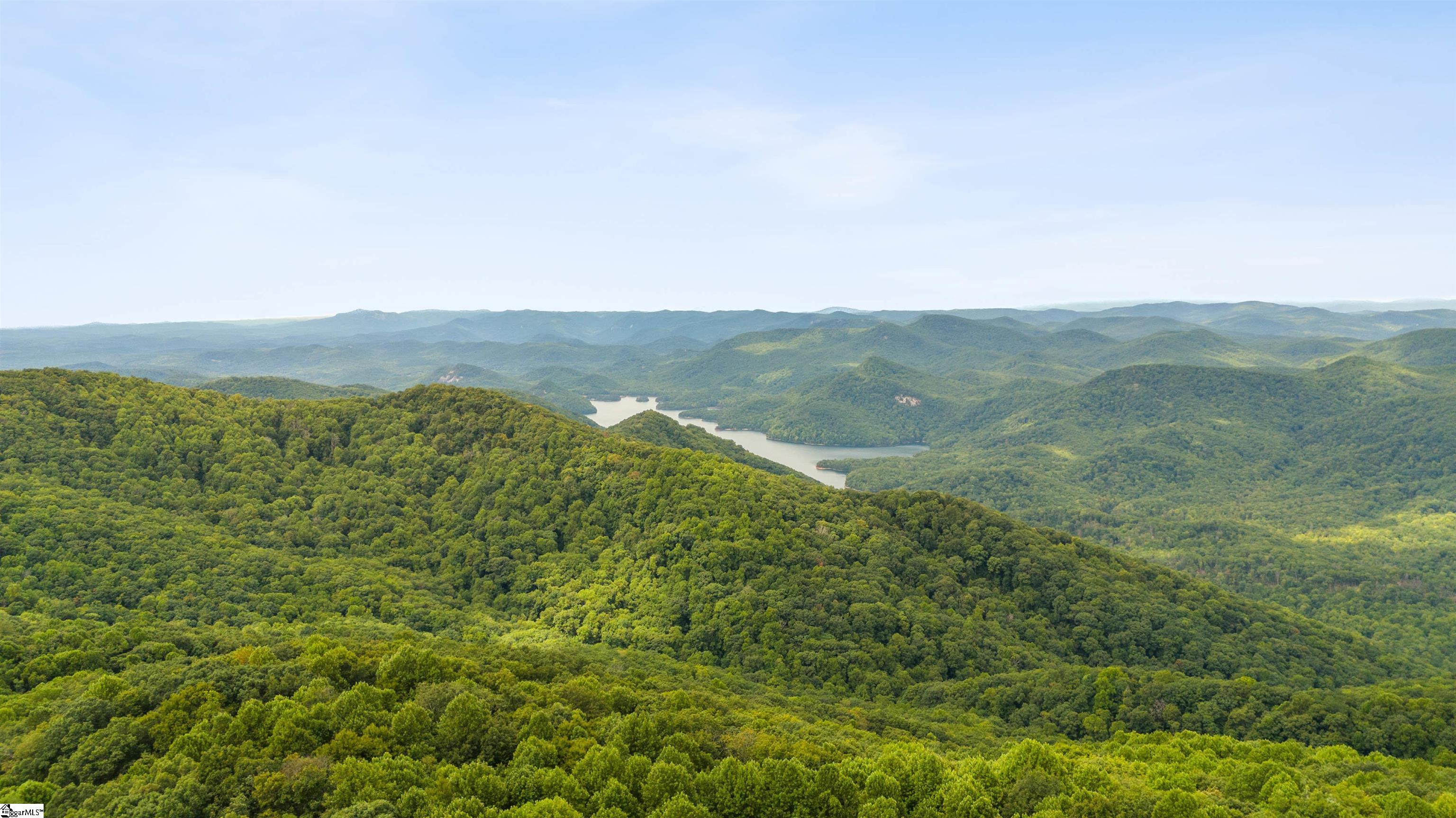 4 Morning Glory Way, Landrum, SC, 29356