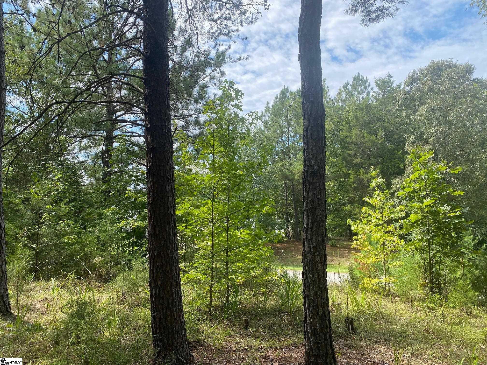 203 W Peninsula Drive photo 2