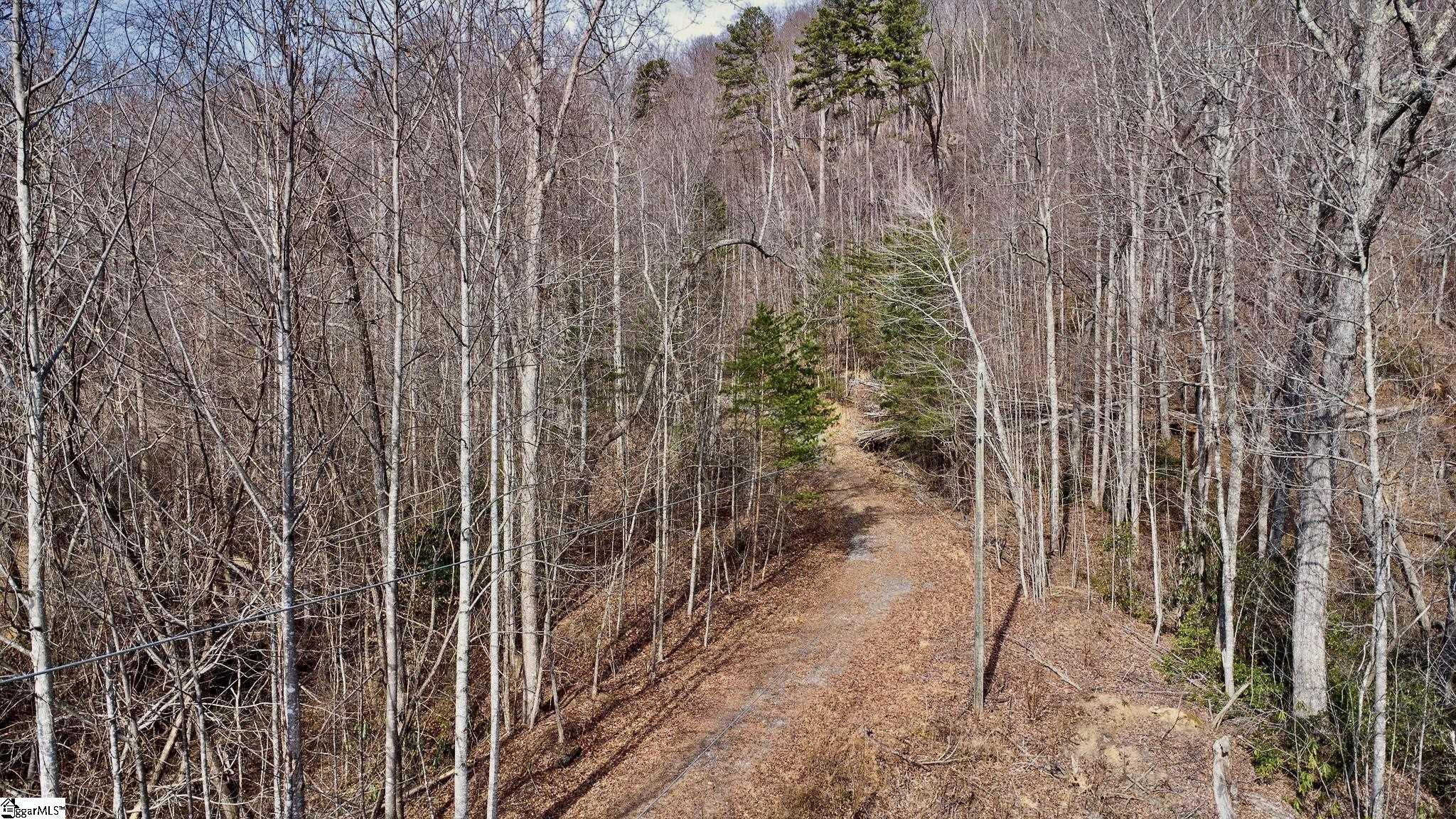 146 Glassy Falls Trail Travelers Rest, SC 29690