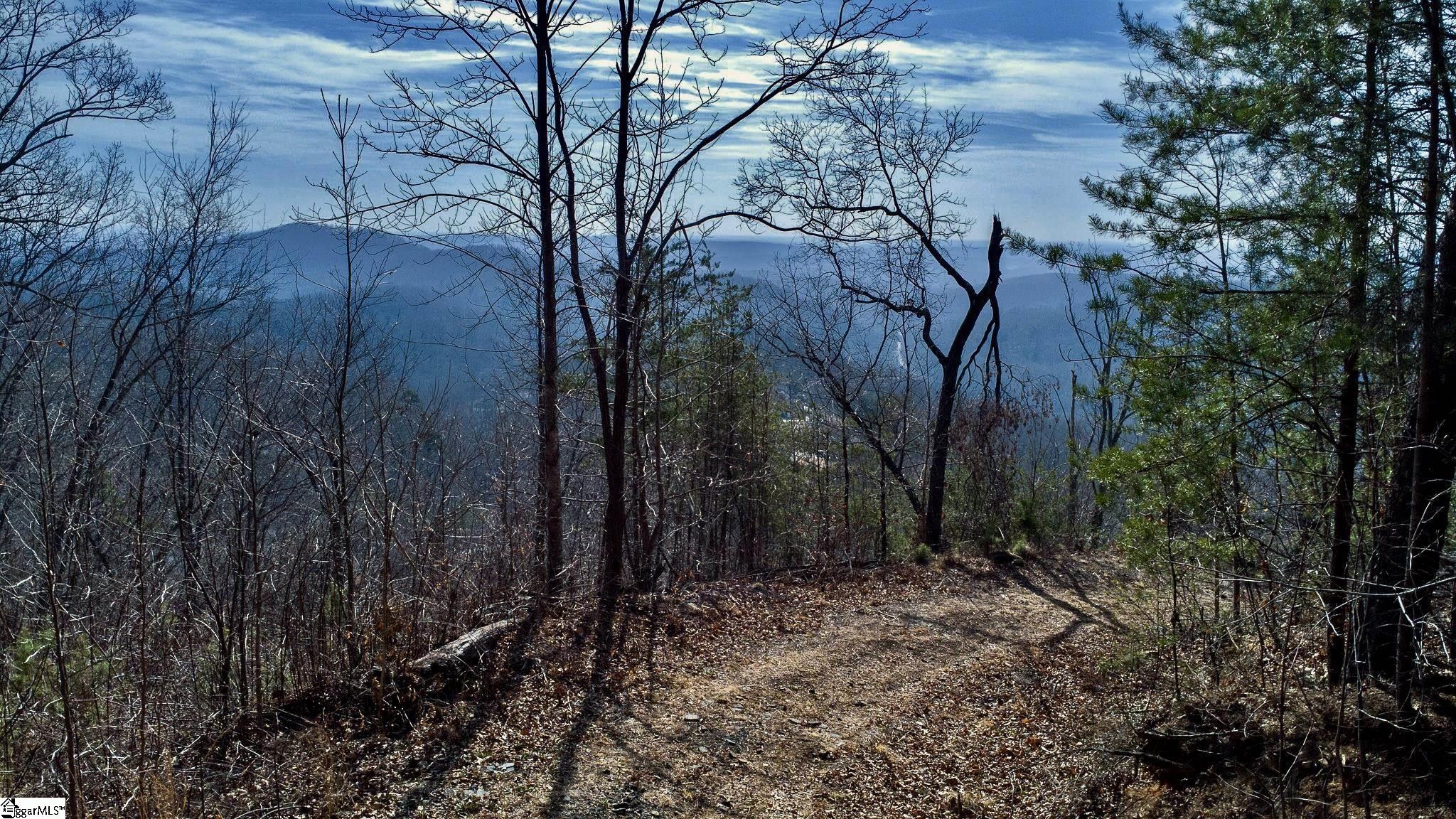 146 Glassy Falls Trail Travelers Rest, SC 29690