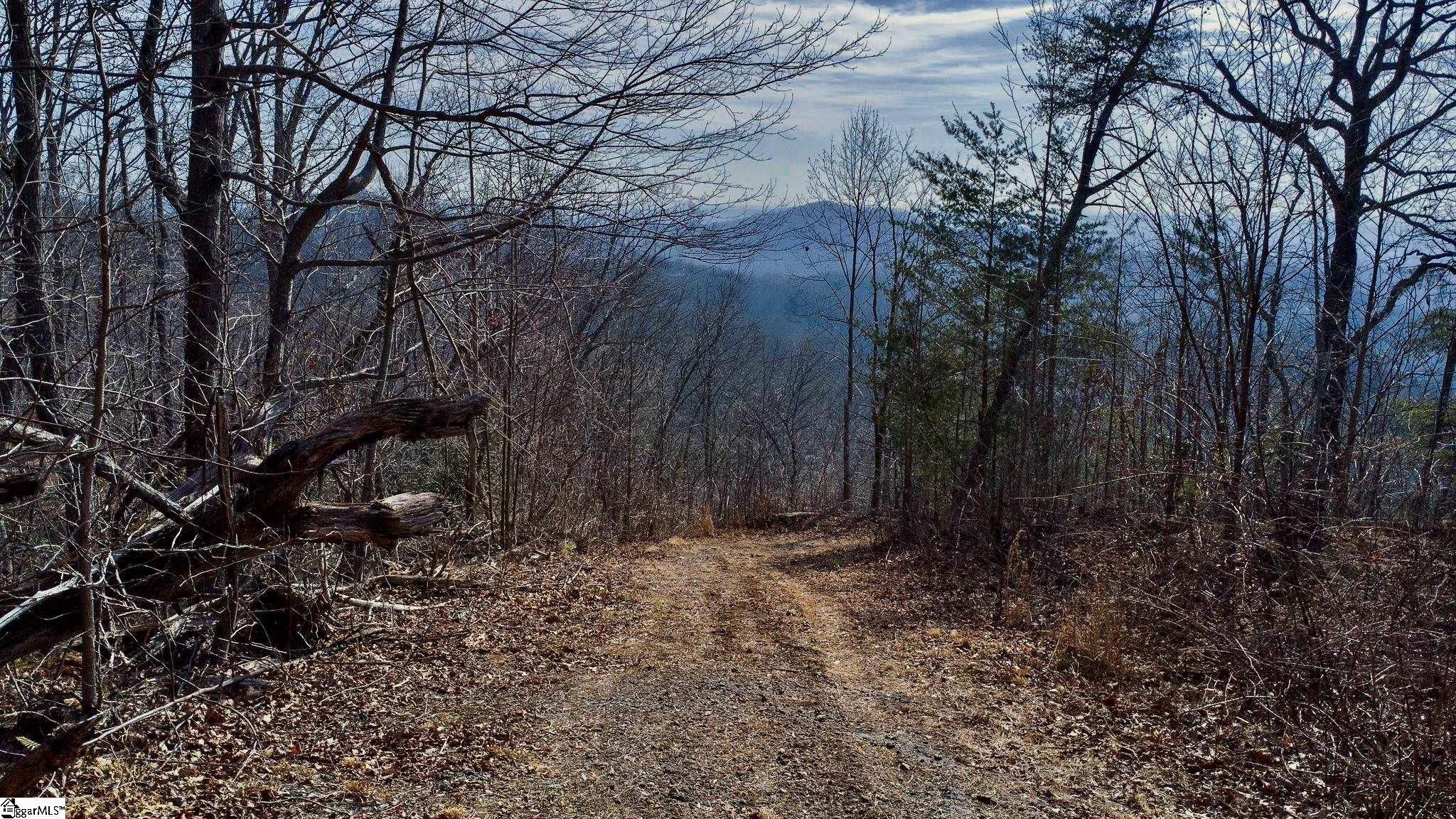 146 Glassy Falls Trail Travelers Rest, SC 29690