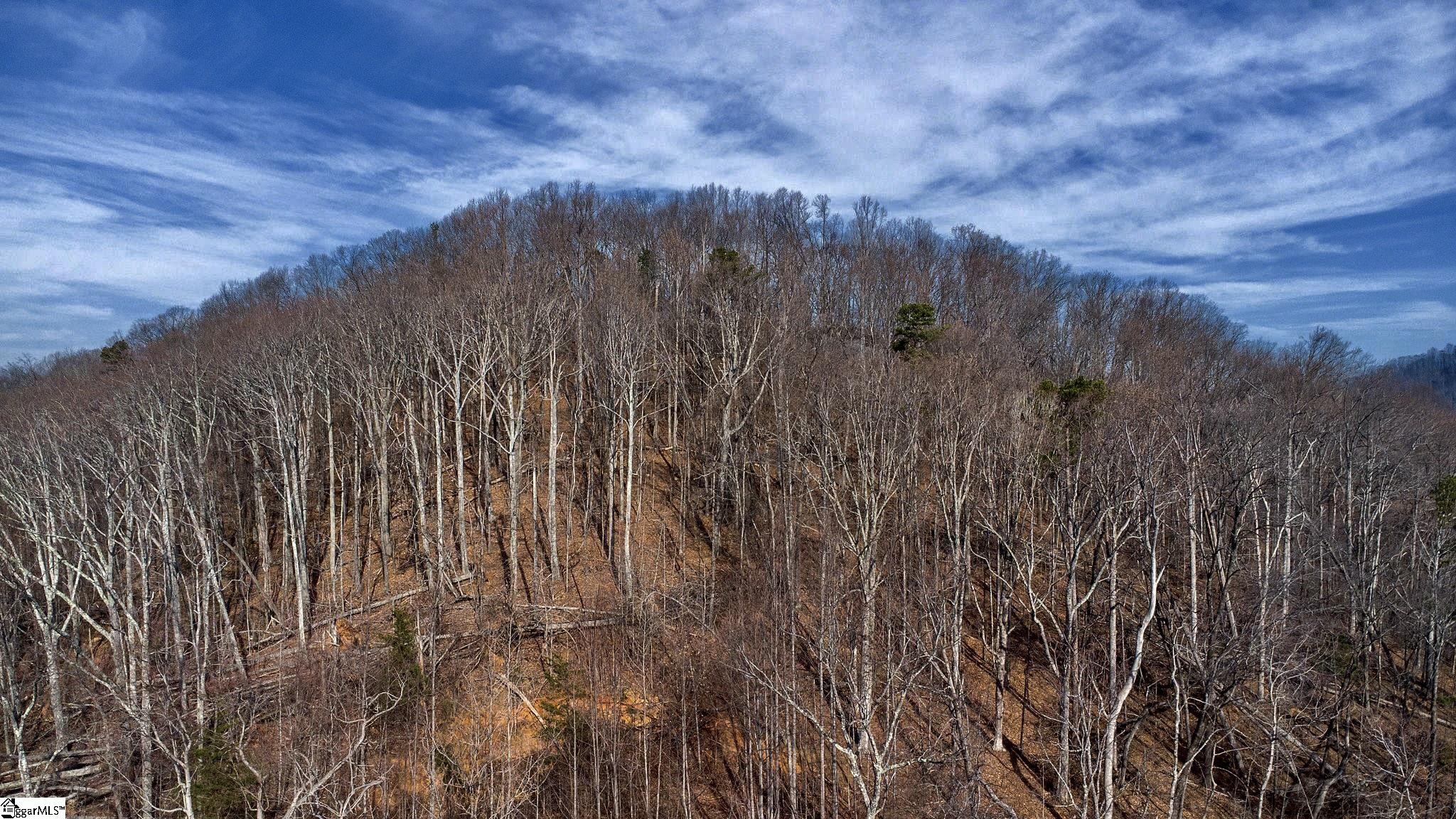 146 Glassy Falls Trail Travelers Rest, SC 29690
