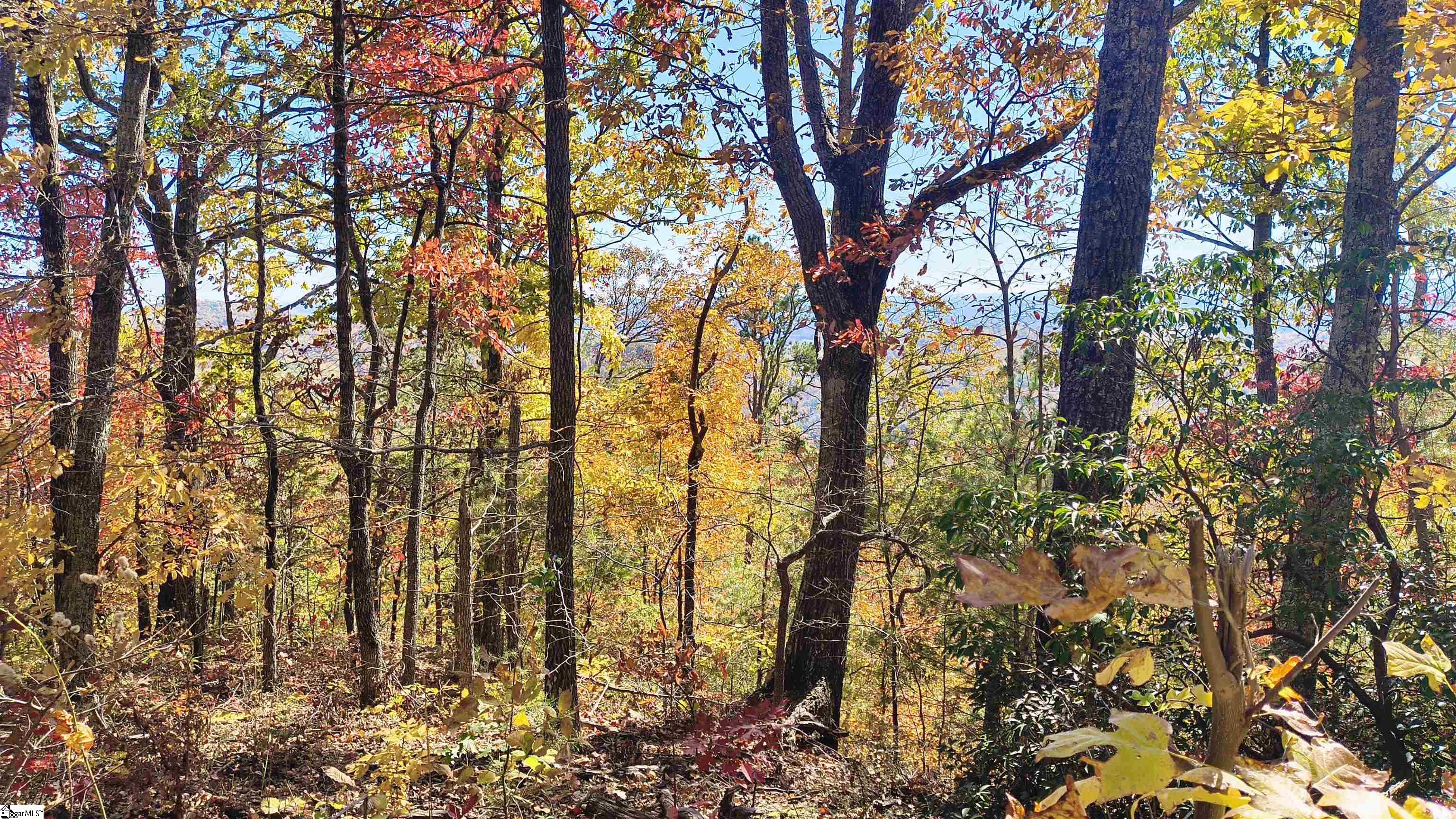 146 Glassy Falls Trail Travelers Rest, SC 29690