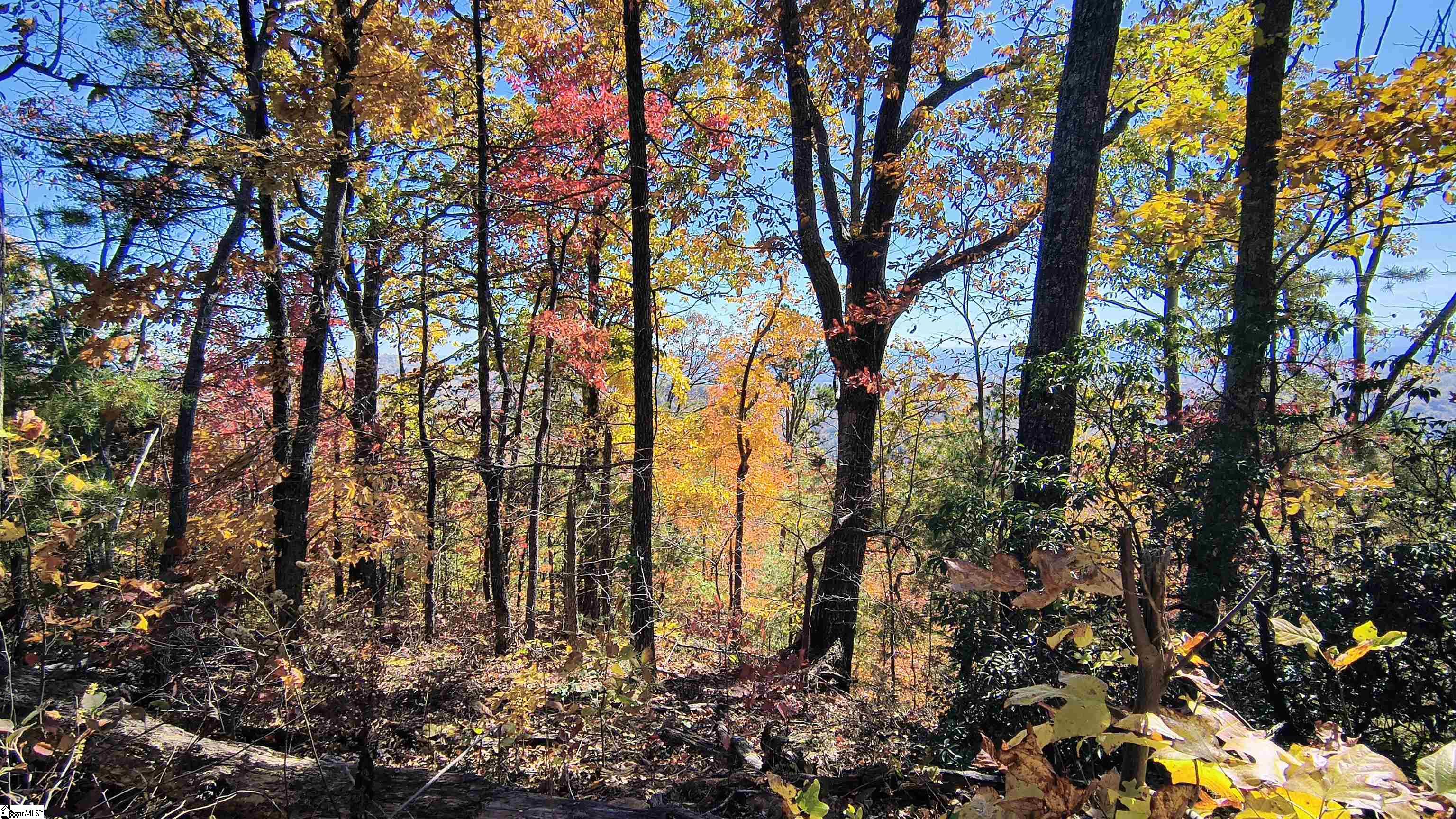 146 Glassy Falls Trail Travelers Rest, SC 29690