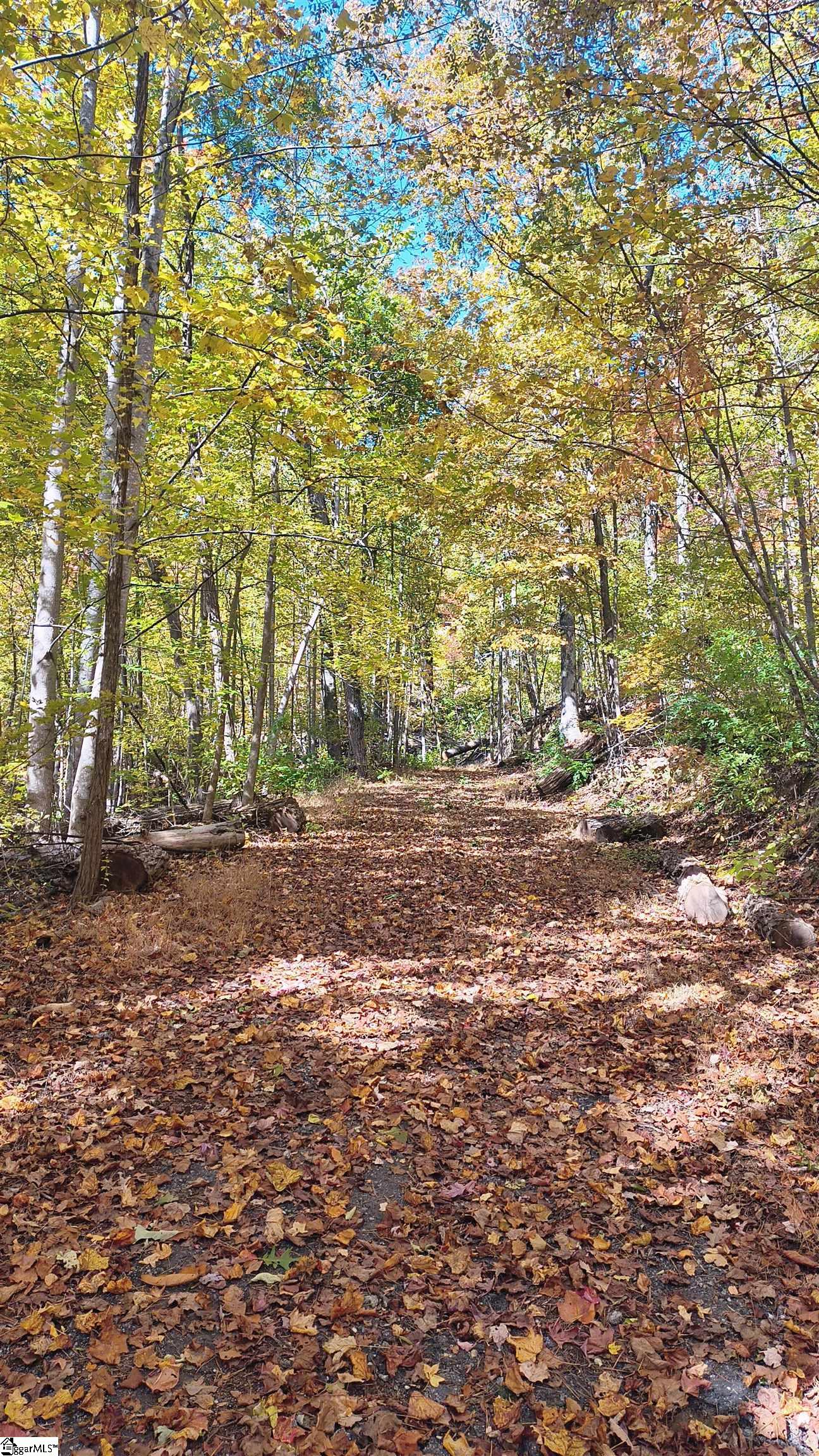 146 Glassy Falls Trail Travelers Rest, SC 29690