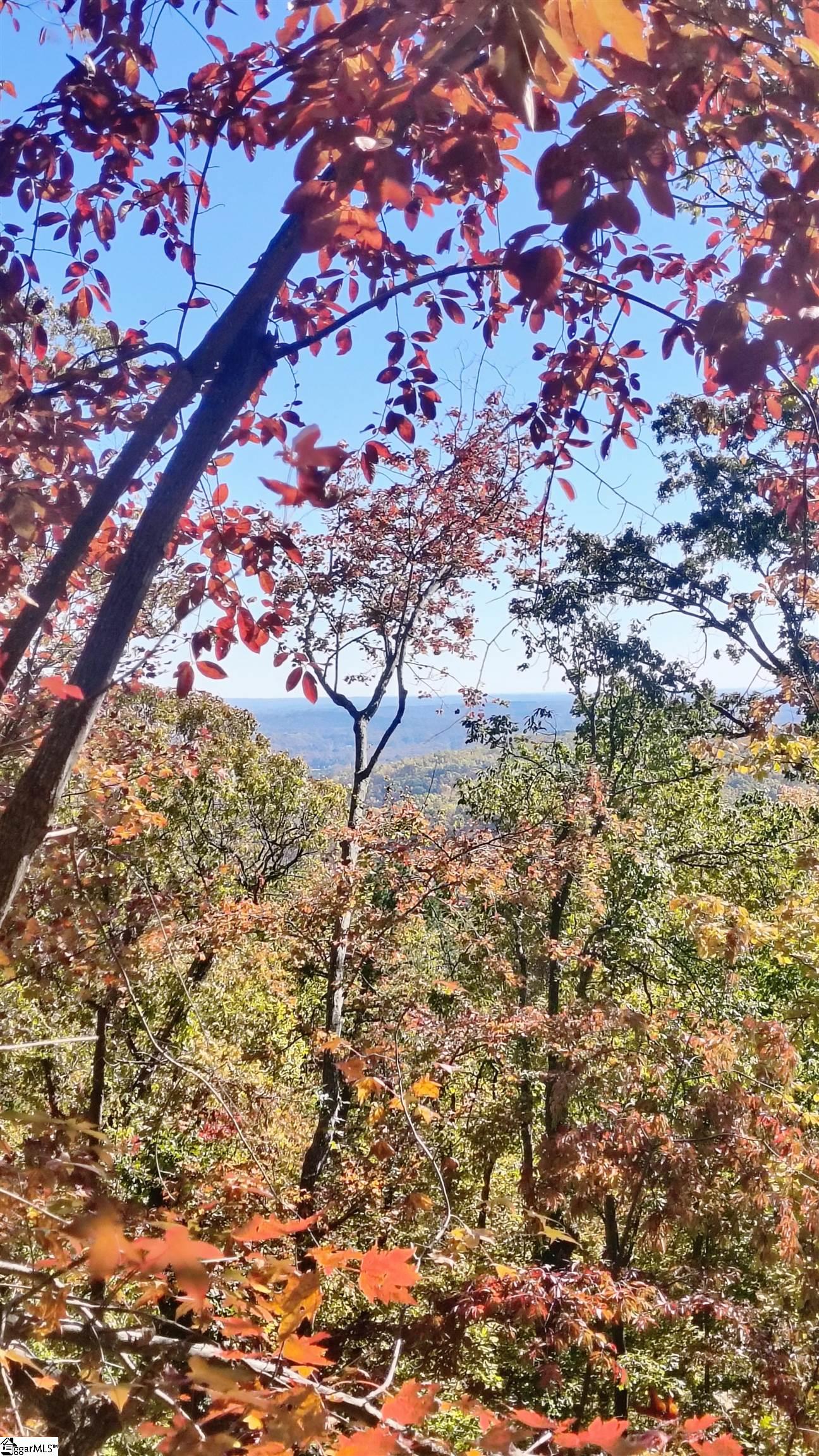 146 Glassy Falls Trail Travelers Rest, SC 29690