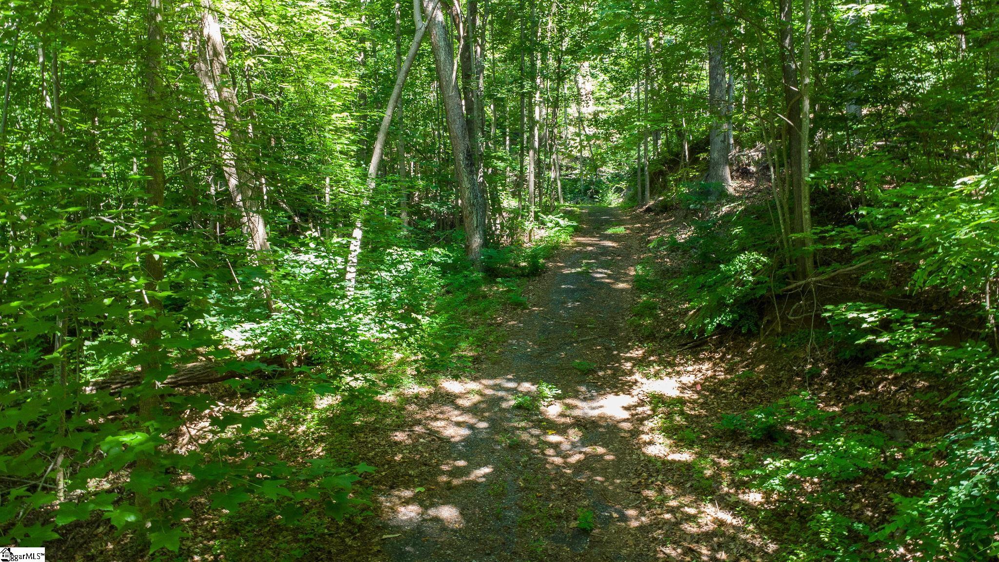 146 Glassy Falls Trail Travelers Rest, SC 29690