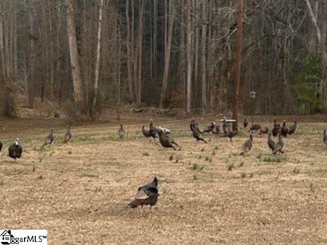 303 Horse Creek Road Chesnee, SC 29323