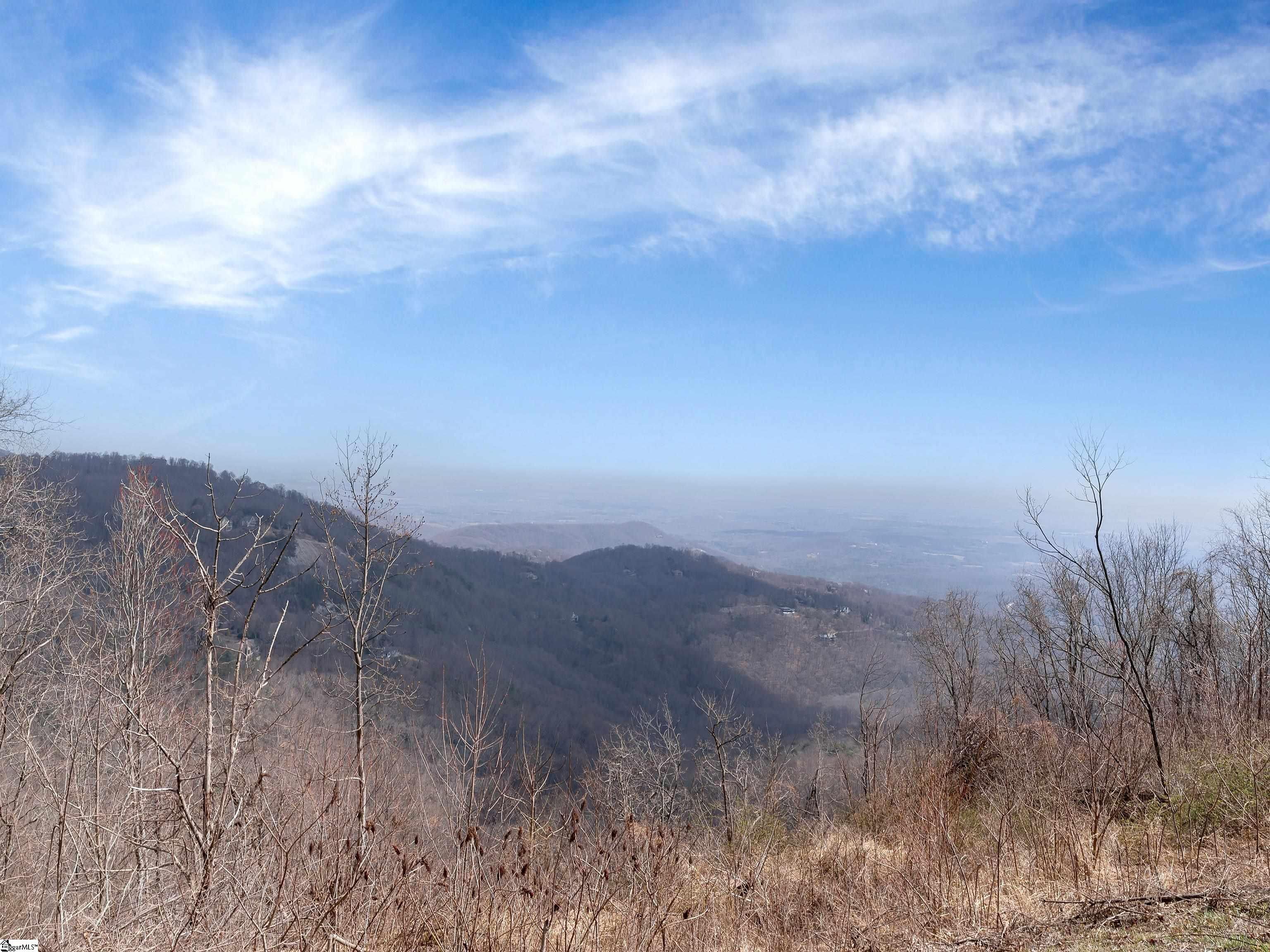 99 The Cliffs Parkway photo 3